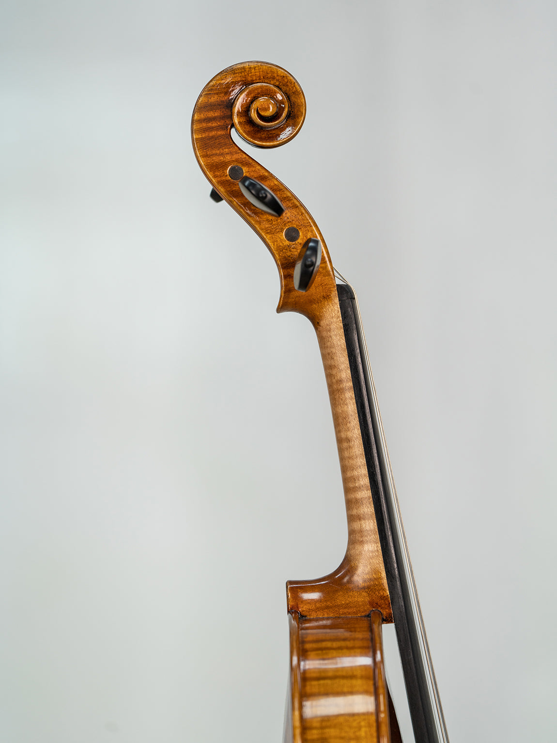 Ansaldo Poggi 1945-4004. 4/4 Violin IUEStrings Antique-Style