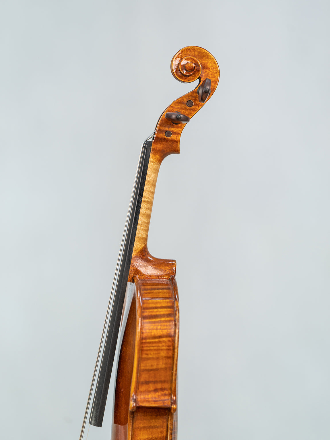 IUEStrings Studio Series 1/10 violin Outfit