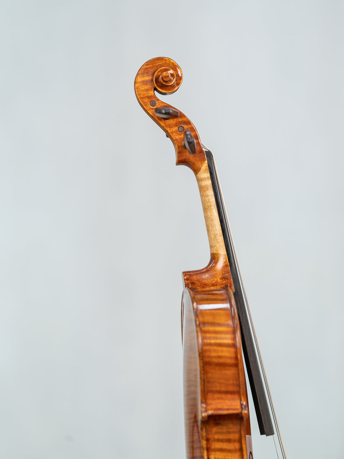 IUEStrings Studio Series 1/10 violin Outfit