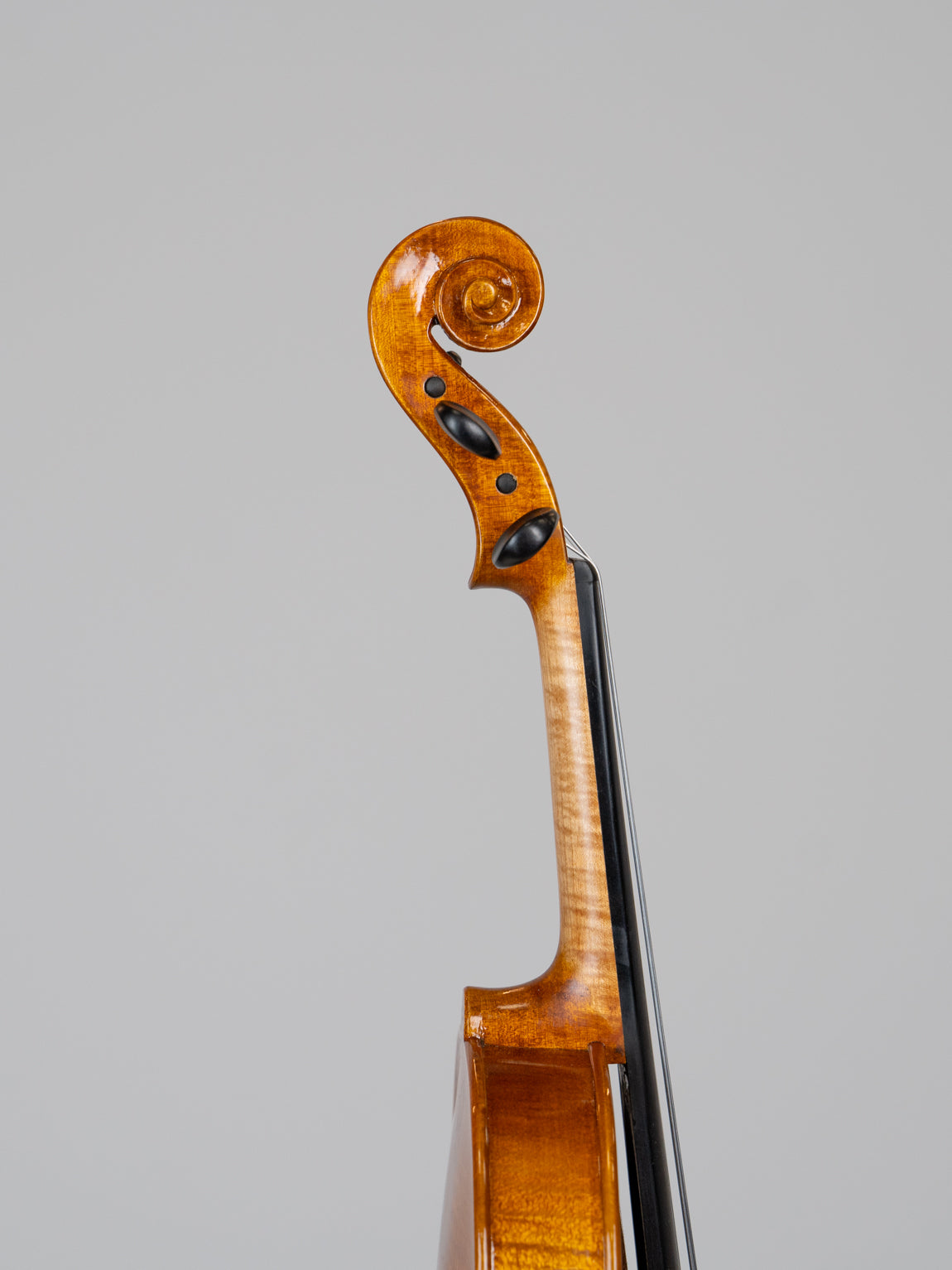 IUEStrings Studio Series 1/2 Violin Outfit