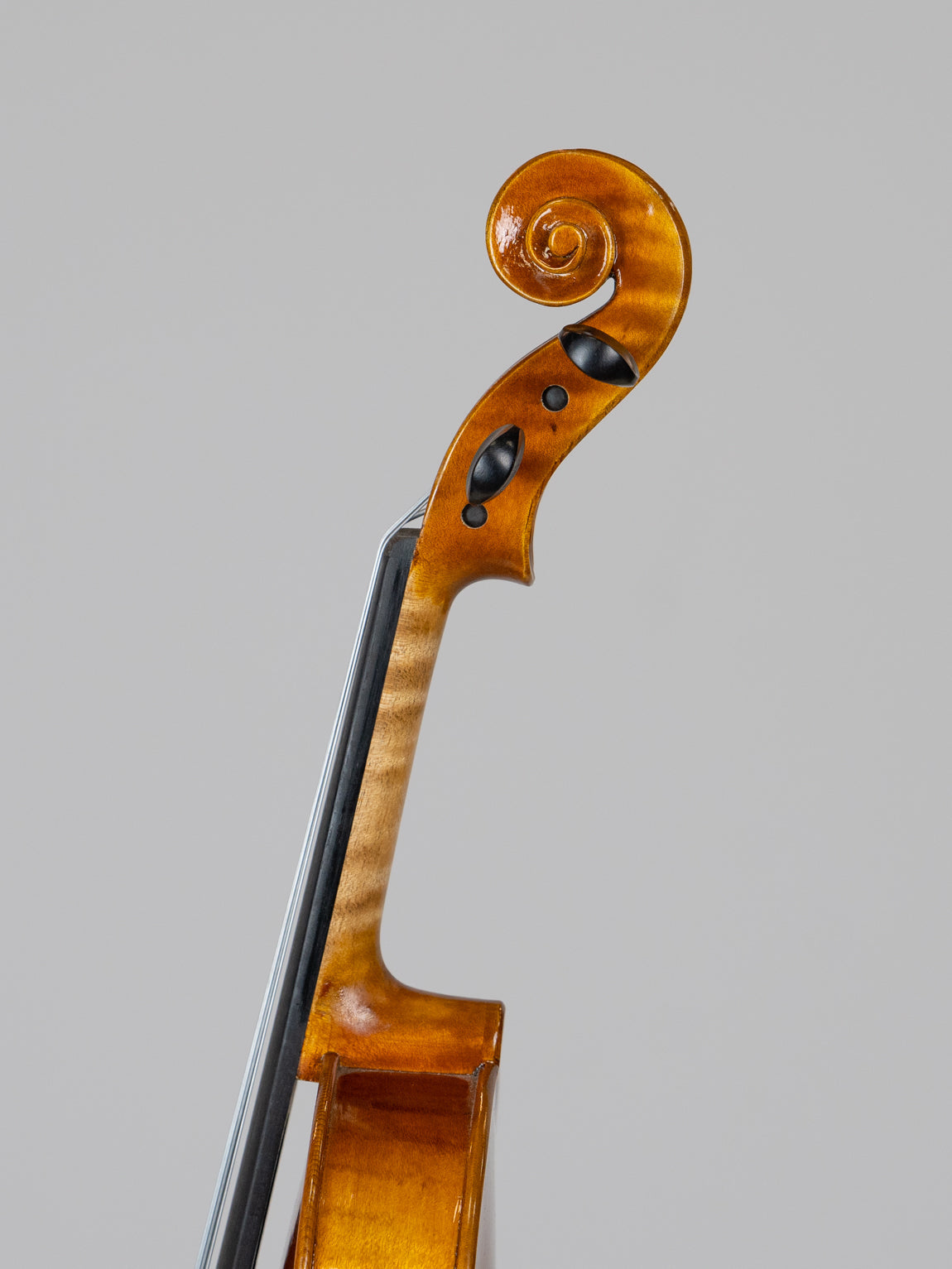 IUE Strings Studio Series 12" Viola Outfit