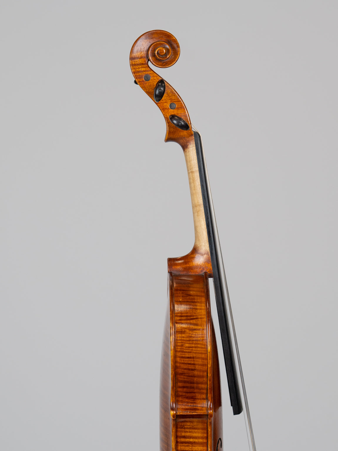 Volkmar Holz 2010 Nice. IUEStrings Luthier Series (VN04)