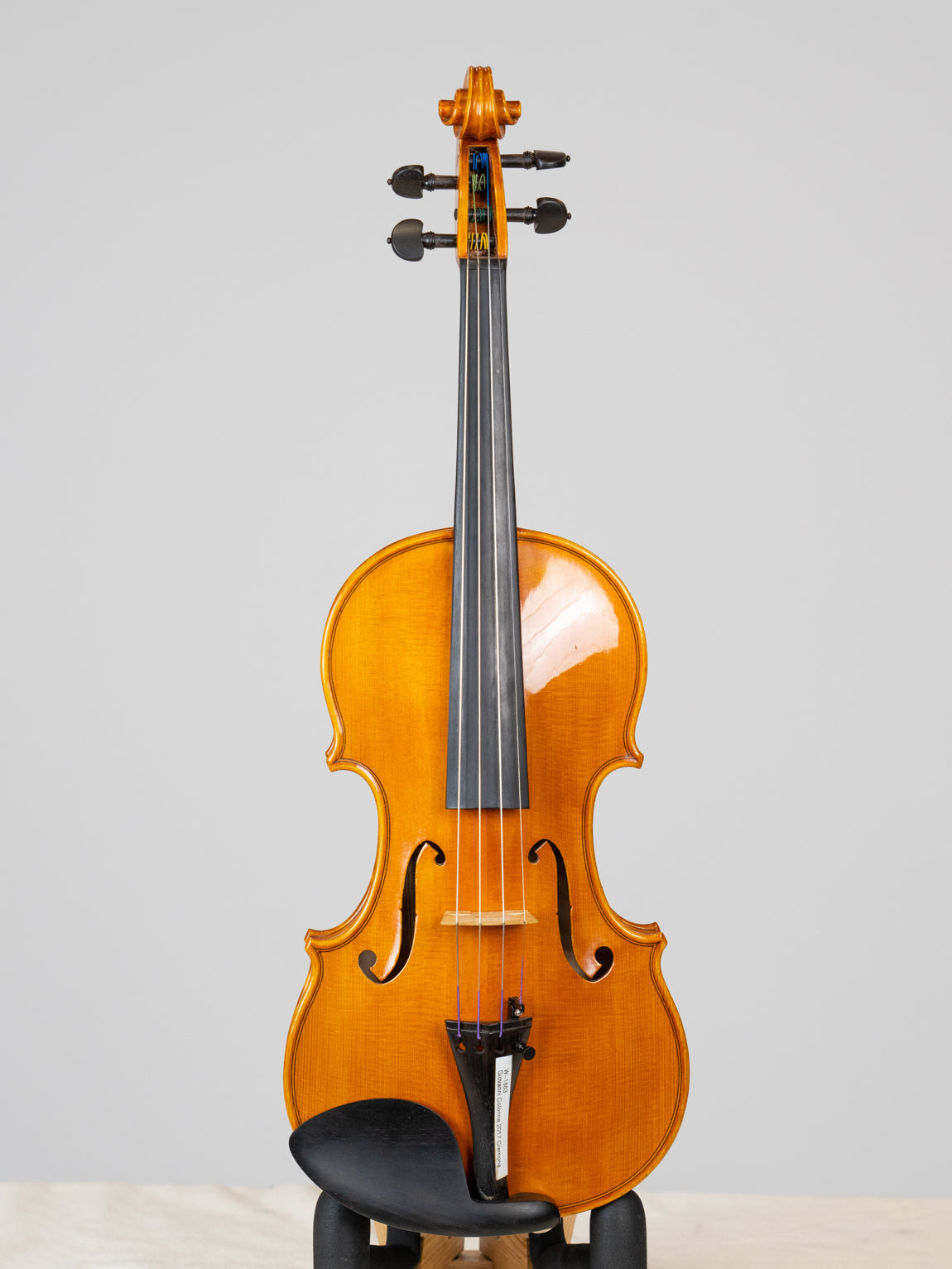 Giovanni Colonna 2017 Cremona. IUEStrings Luthier Series(VN14)