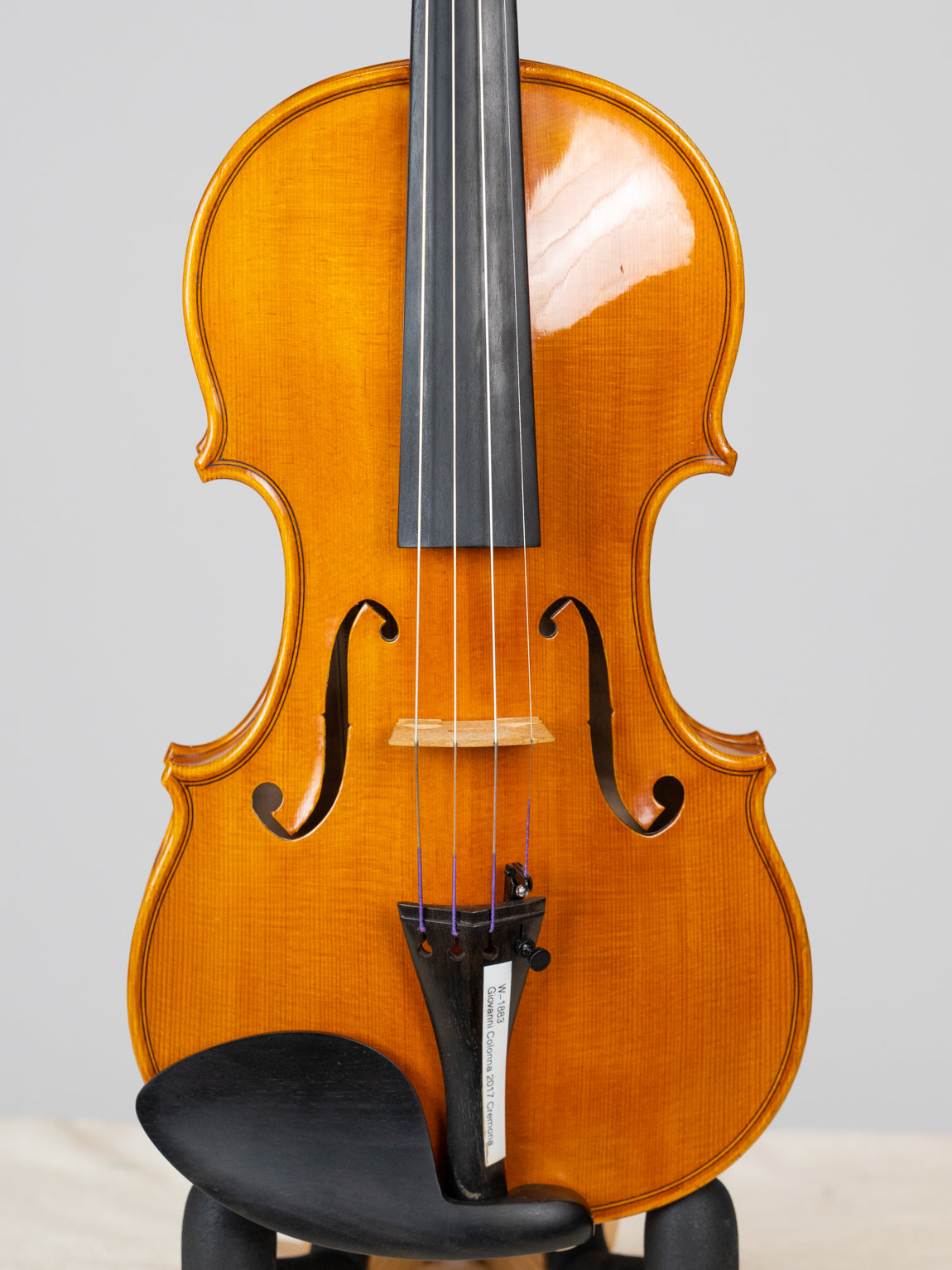 Giovanni Colonna 2017 Cremona. IUEStrings Luthier Series(VN14)