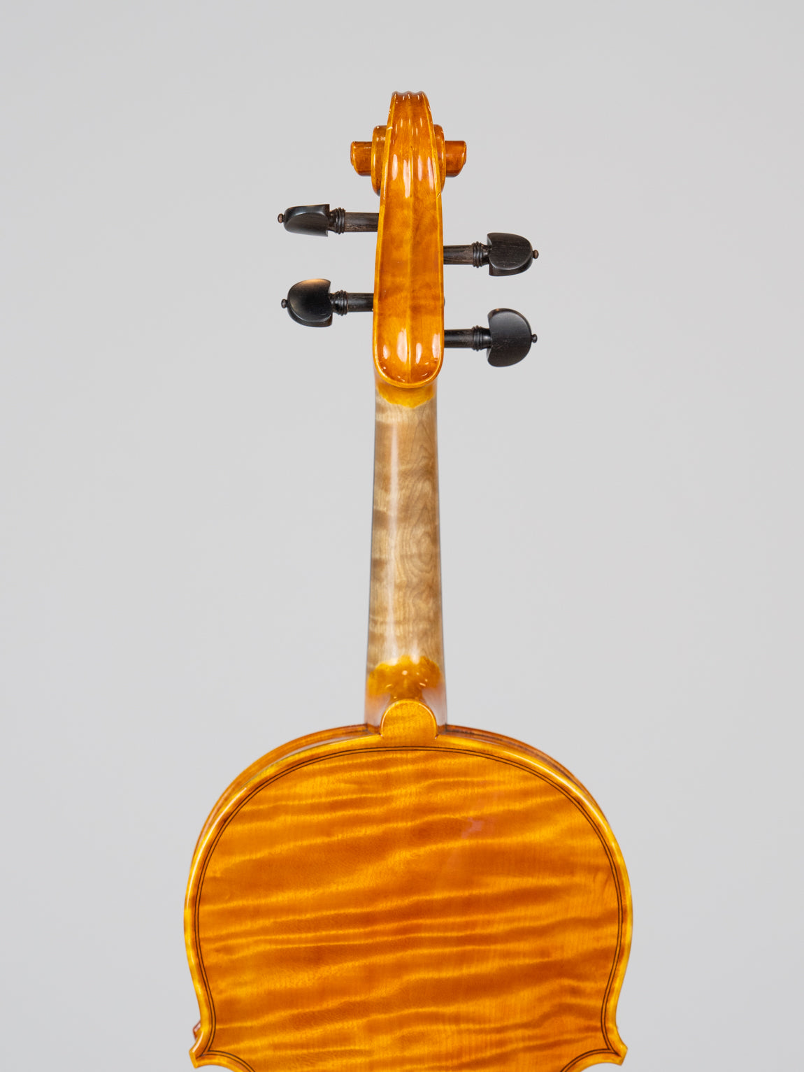 Giovanni Colonna 2017 Cremona. IUEStrings Luthier Series(VN14)