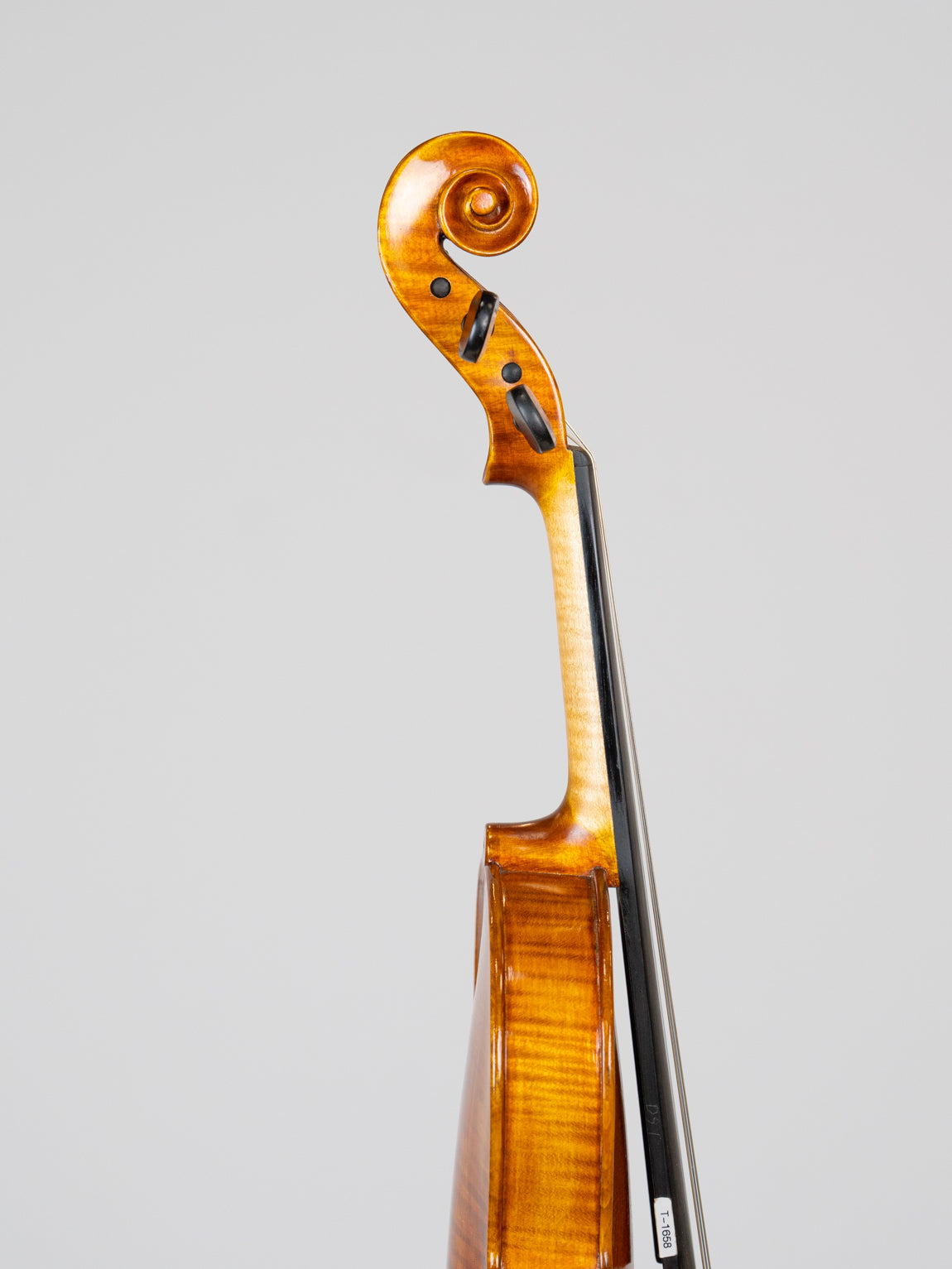 Gotz-Ornati model 2016 Germany.  IUEStrings Luthier Series(VN16)