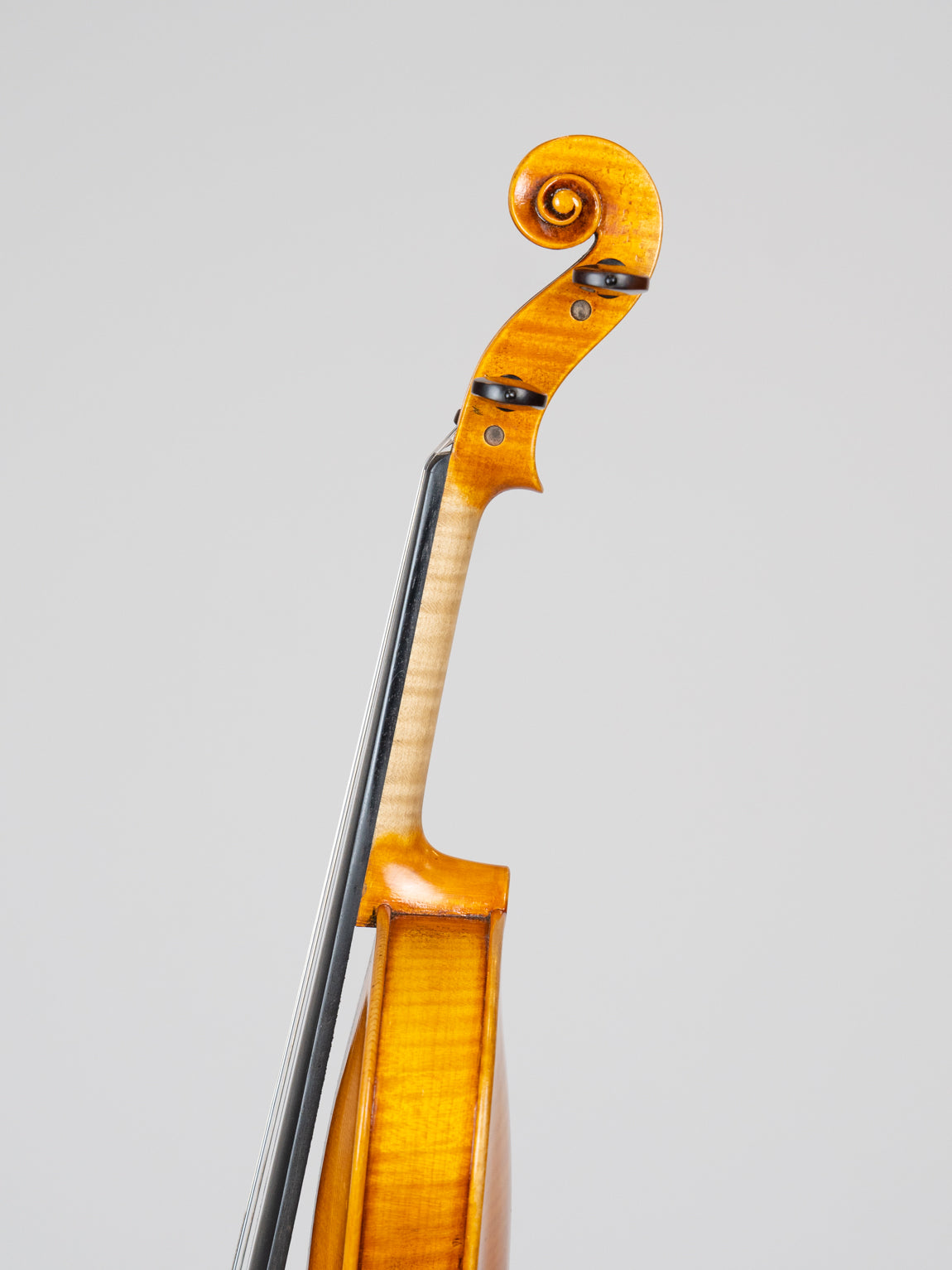 Adam Tang Joseph&Antonius Gagliano 1795-3814. IUEStrings (VN17)