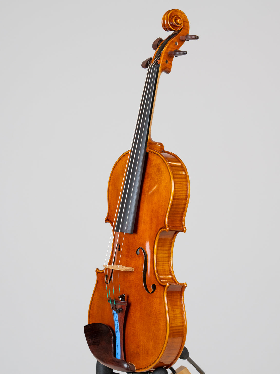 Jango Lee Joannes Franciscus Pressenda 1829-3815(VN19)