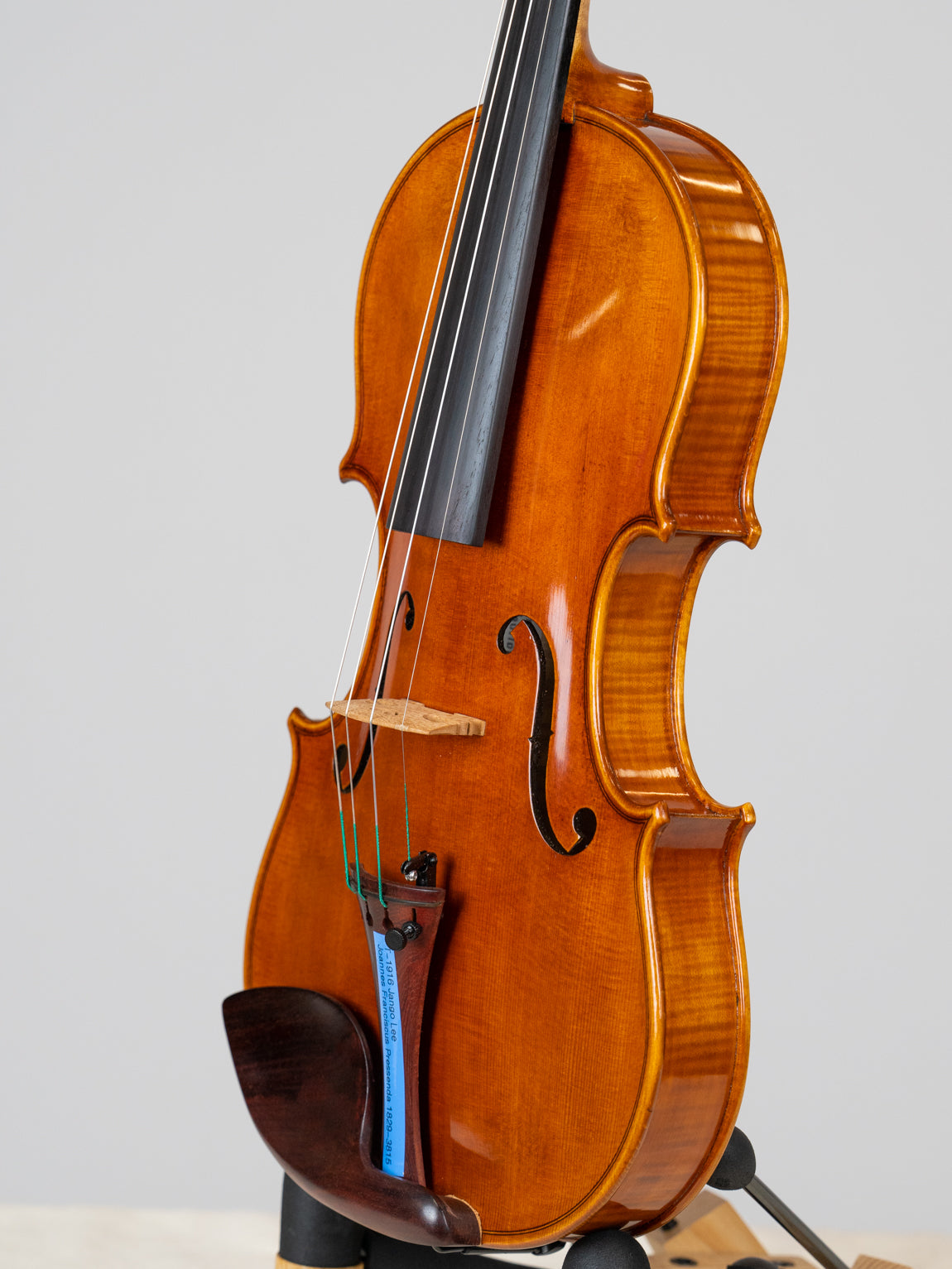 Jango Lee Joannes Franciscus Pressenda 1829-3815(VN19)