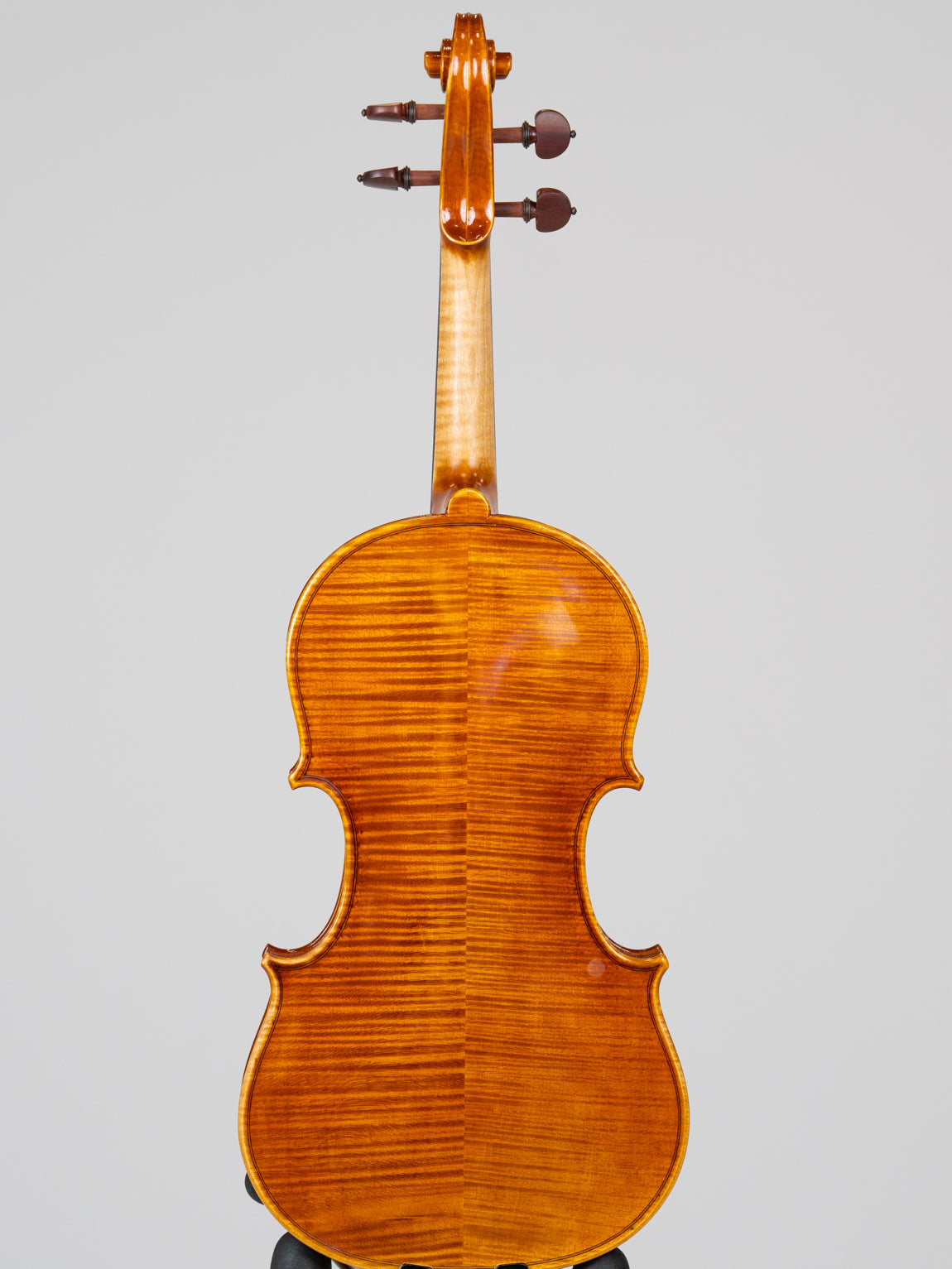 Jango Lee Joannes Franciscus Pressenda 1829-3815(VN19)