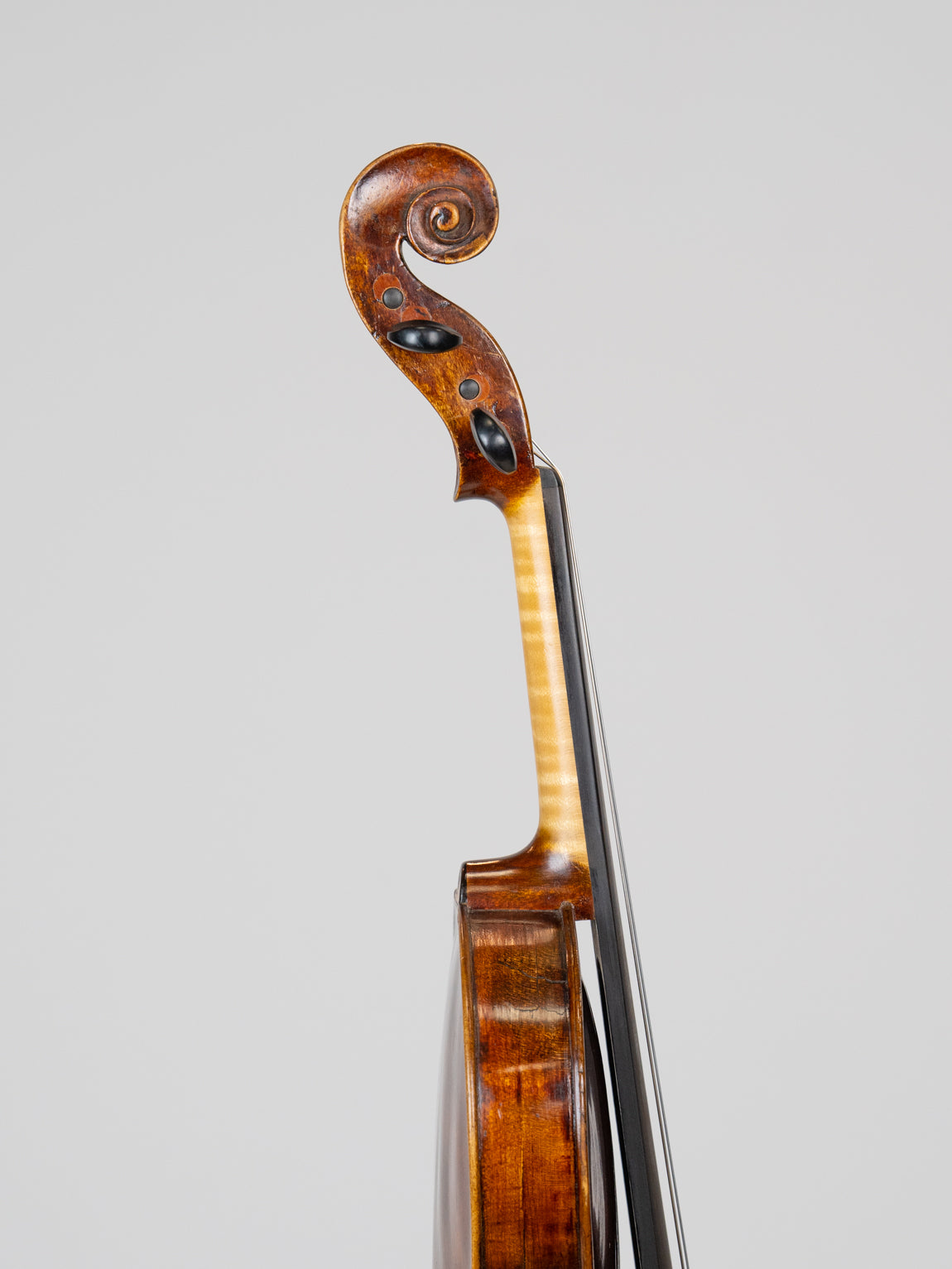 Rich Kruttner 1899 Pilson IUEStrings Luthier Series (VN21)