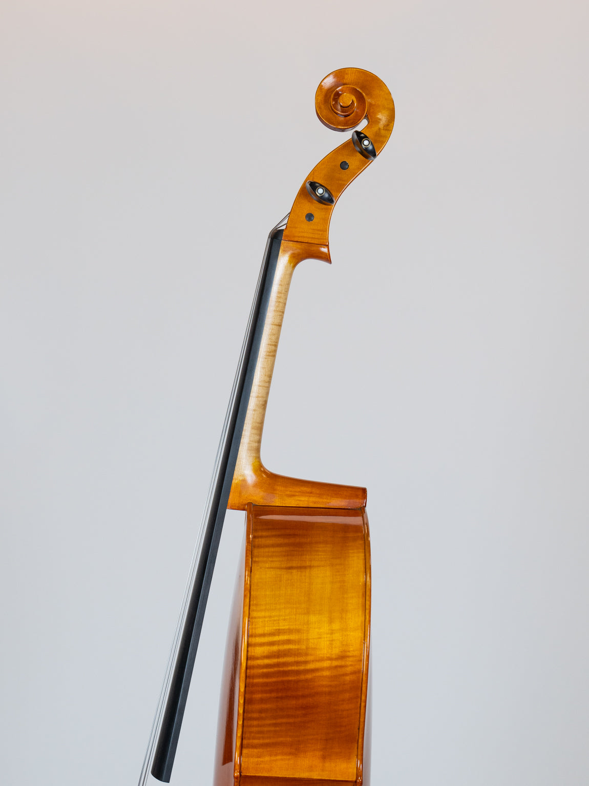 IUE Strings Studio Series Intermediate Cello Outfit