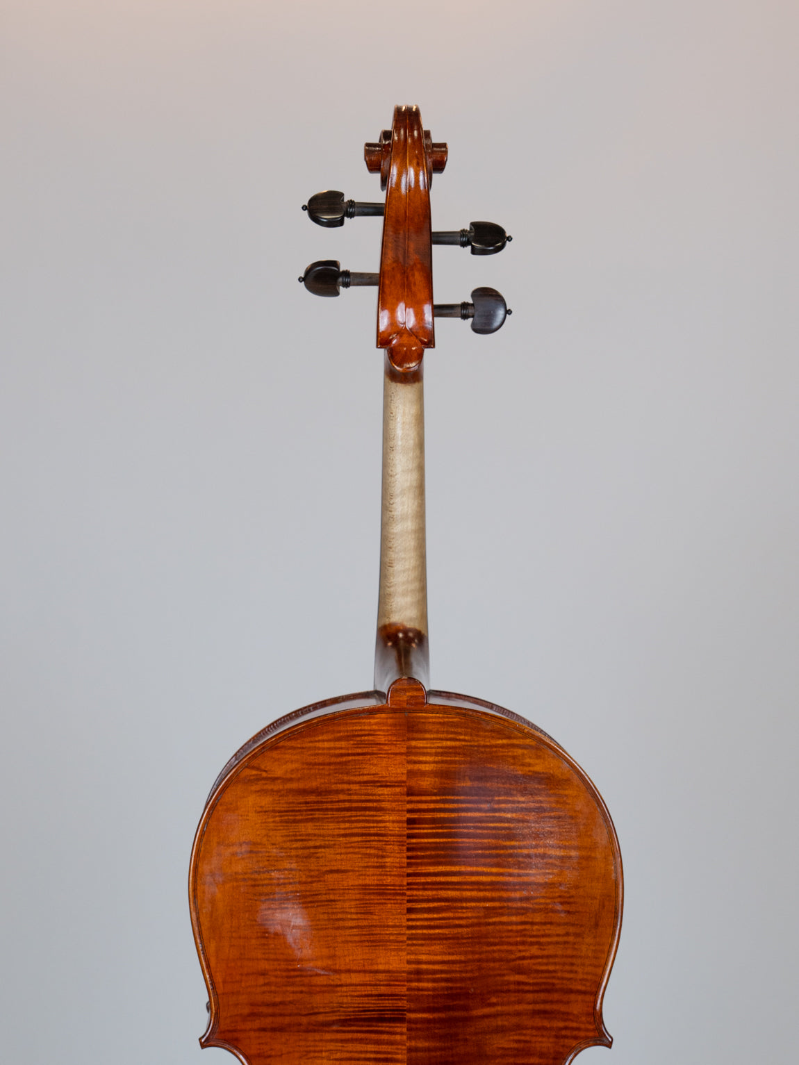 IUE Strings Studio Series Professional Cello Outfit