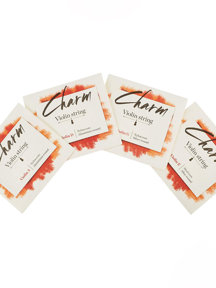 FOR-TUNE CHARM Violin 4/4 SET String