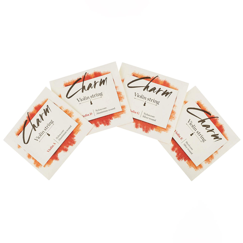 FOR-TUNE CHARM Violin 4/4 SET String