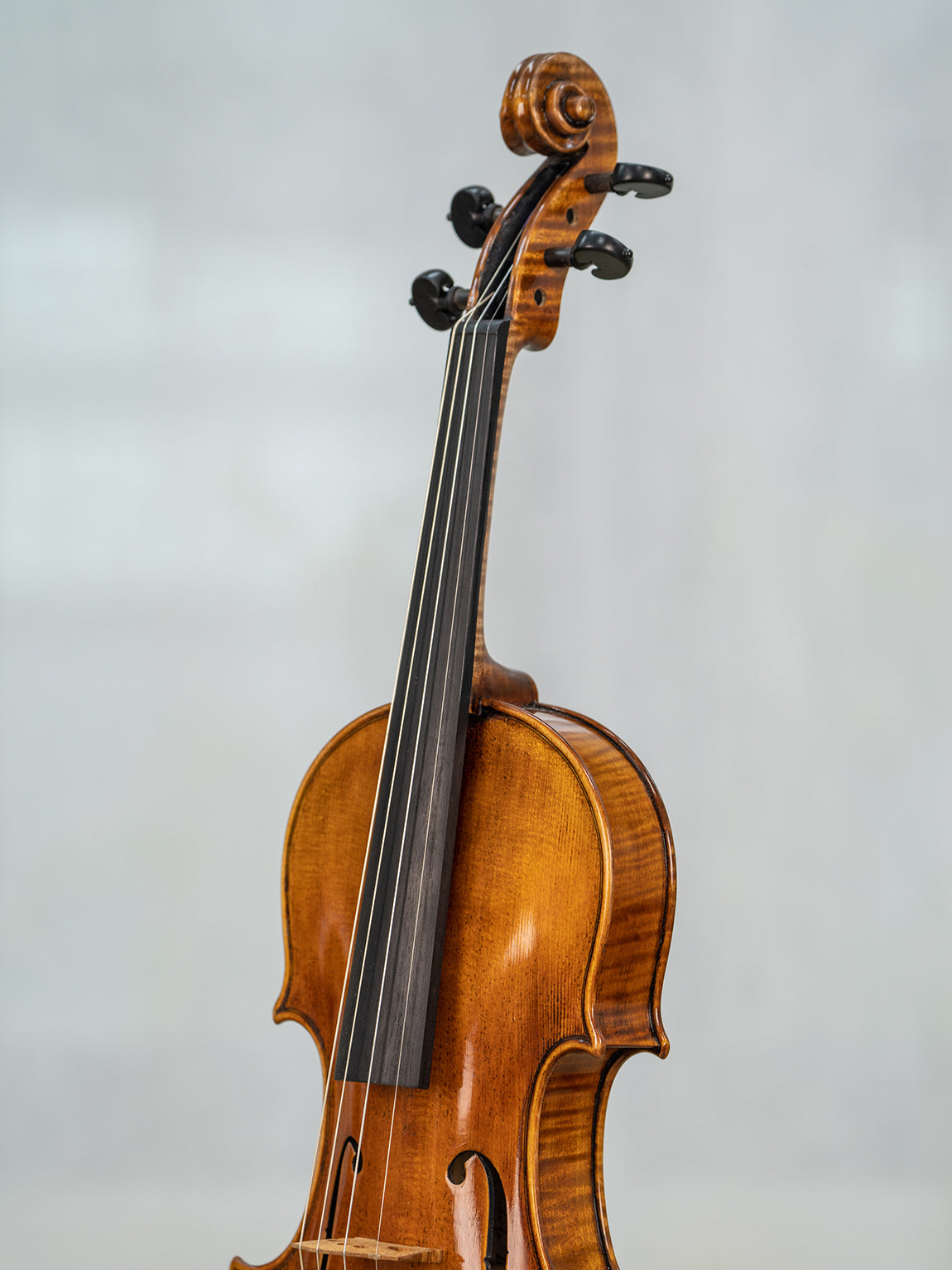 Carlo Bergonzi 1733  4/4 Violin.   IUEStrings Antique-Style