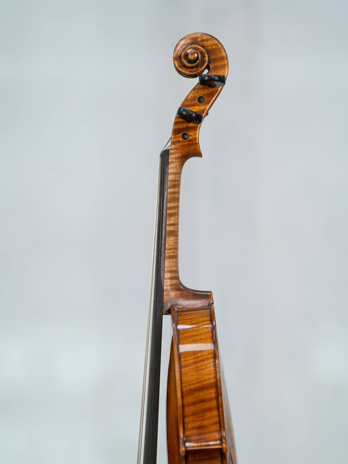Carlo Bergonzi 1733  4/4 Violin.   IUEStrings Antique-Style