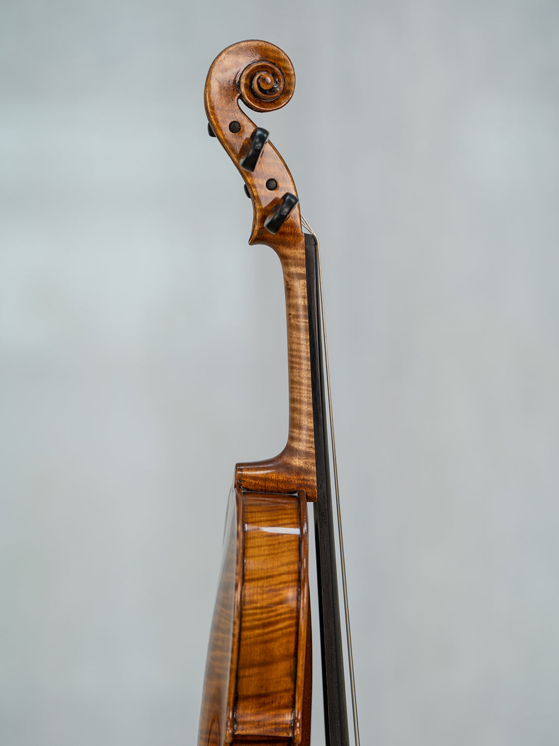 Carlo Bergonzi 1733  4/4 Violin.   IUEStrings Antique-Style