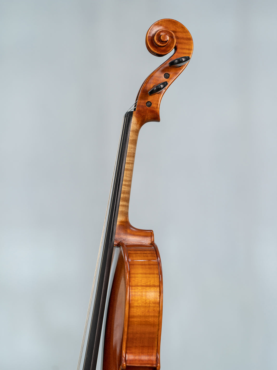IUEStrings Studio Series Professional Violin Outfit