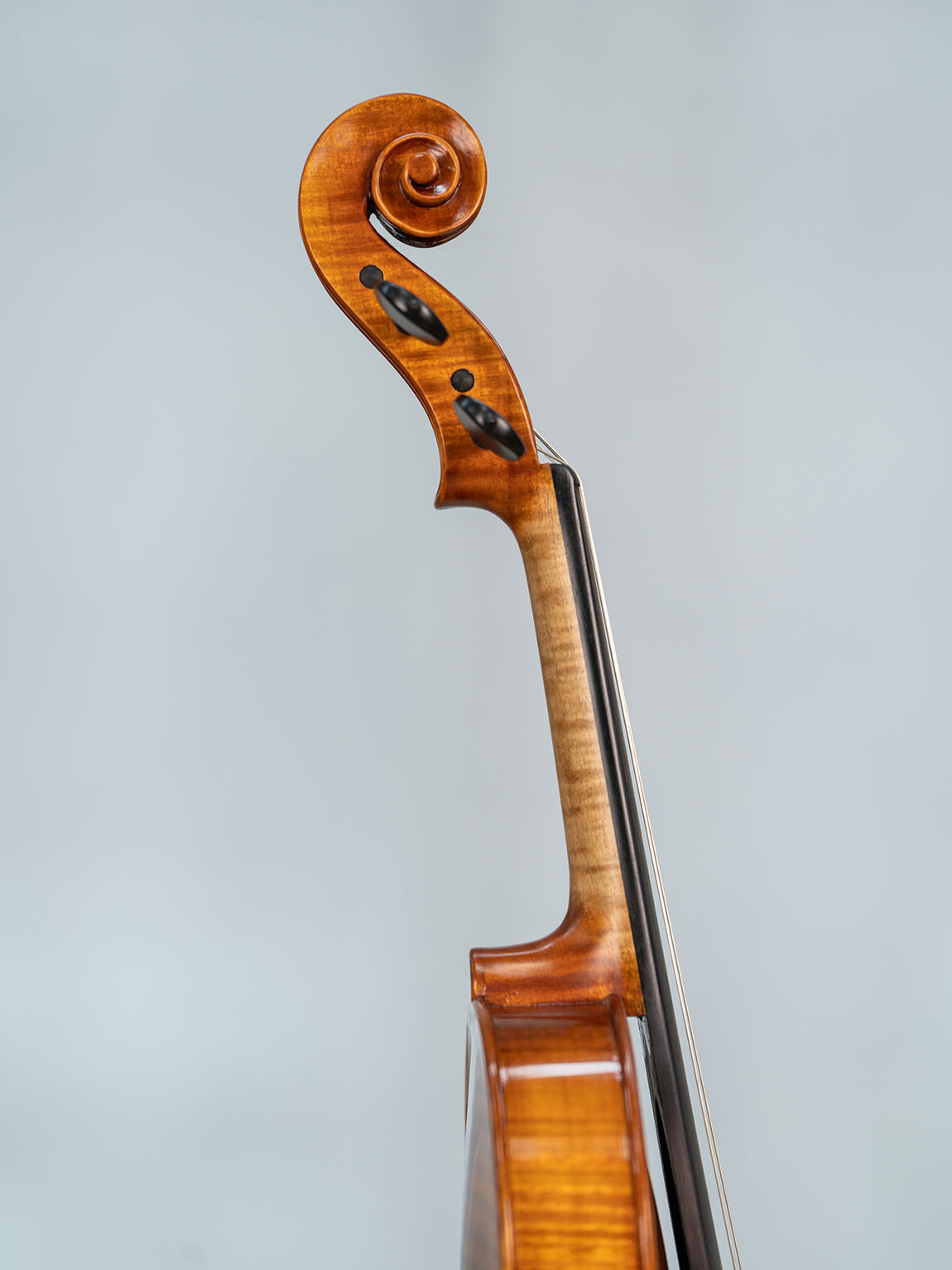IUEStrings Studio Series Professional Violin Outfit