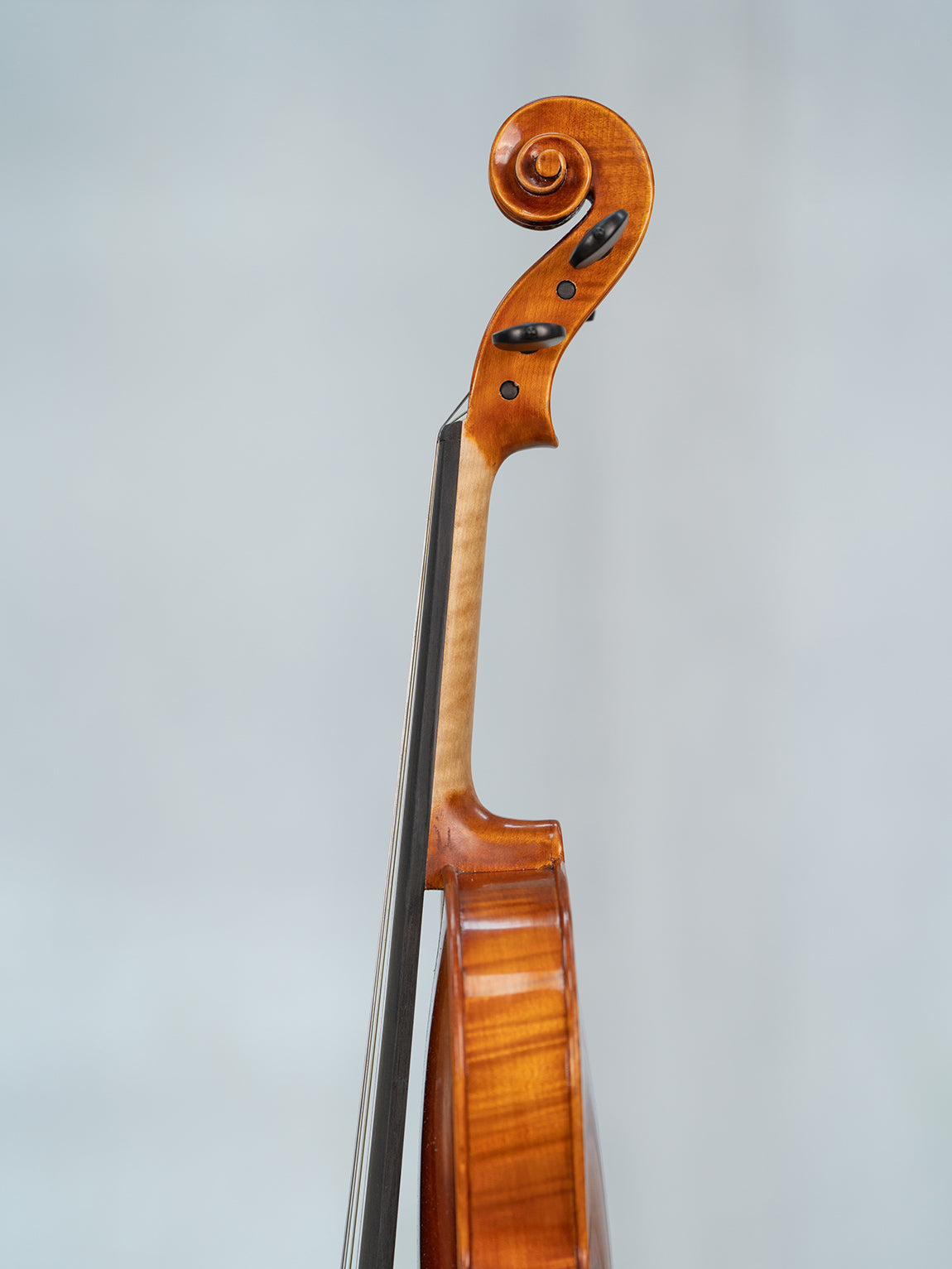 IUEStrings Studio Series Advanced Violin Outfit