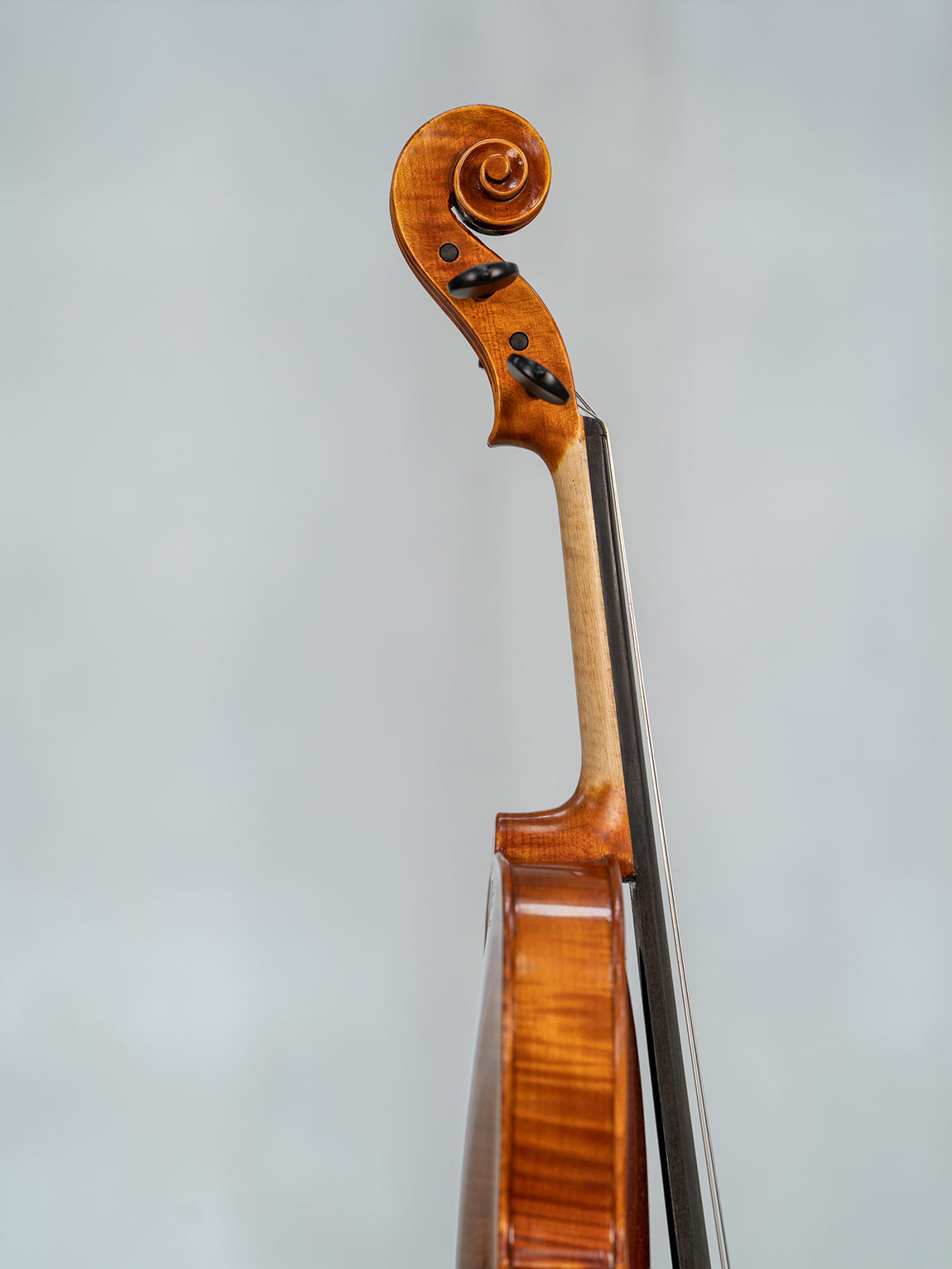 IUEStrings Studio Series Advanced Violin Outfit