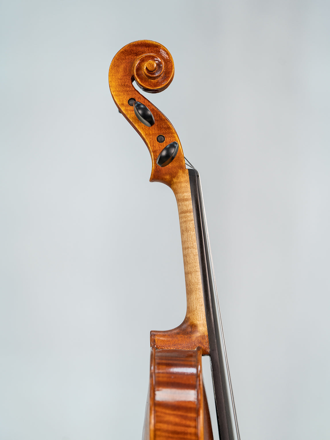 IUEStrings Studio Series 3/4 violin Outfit