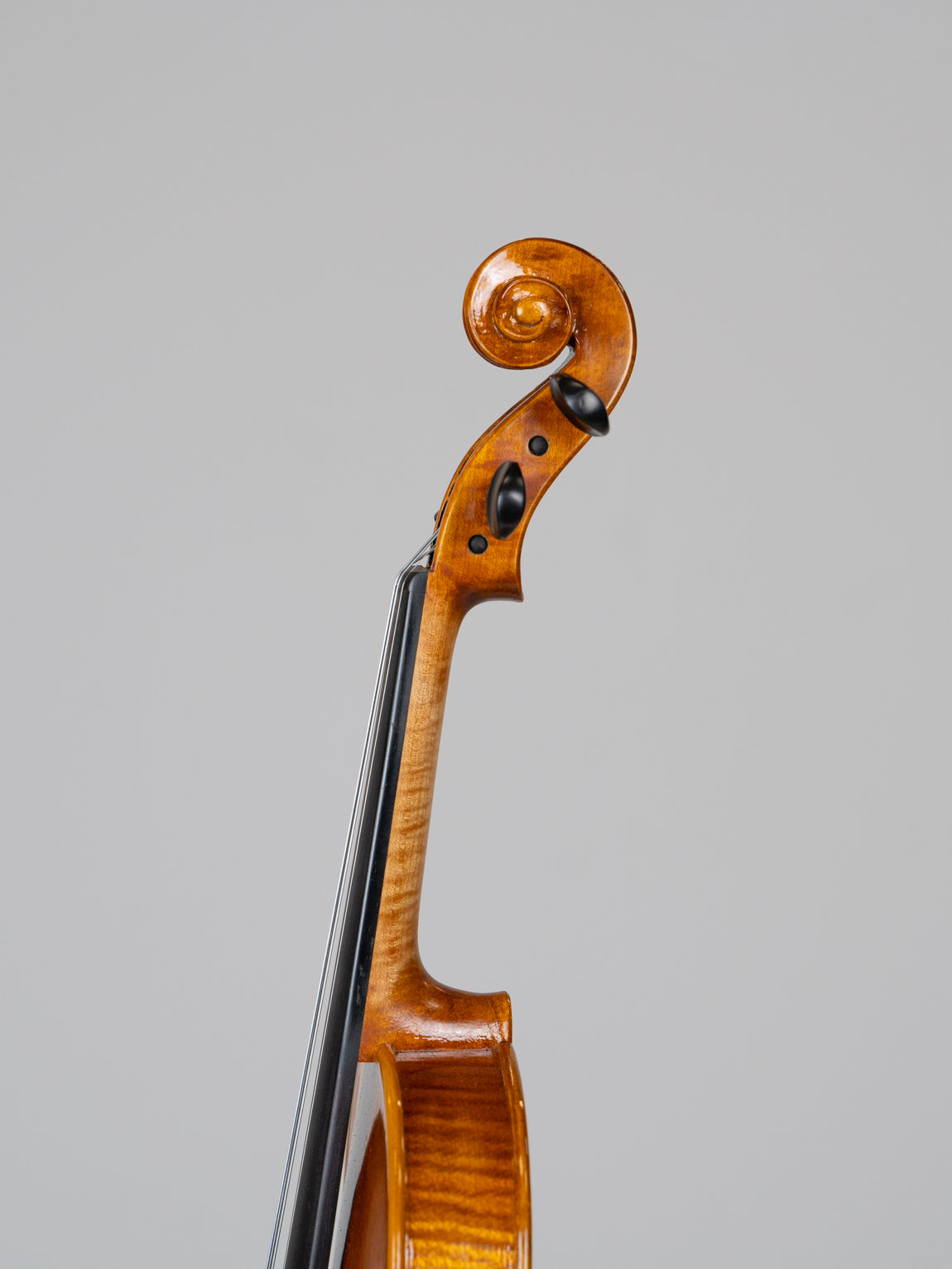 IUEStrings Studio Series 1/2 Violin Outfit