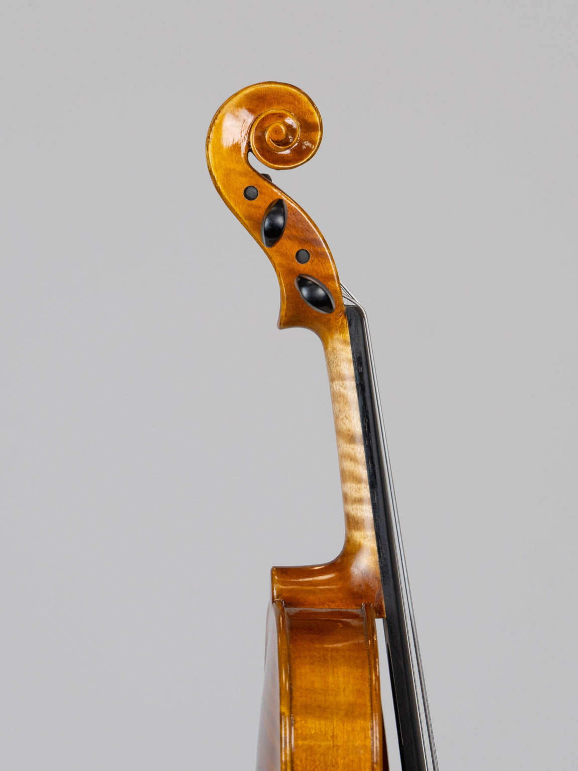 IUE Strings Studio Series 11" Viola Outfit