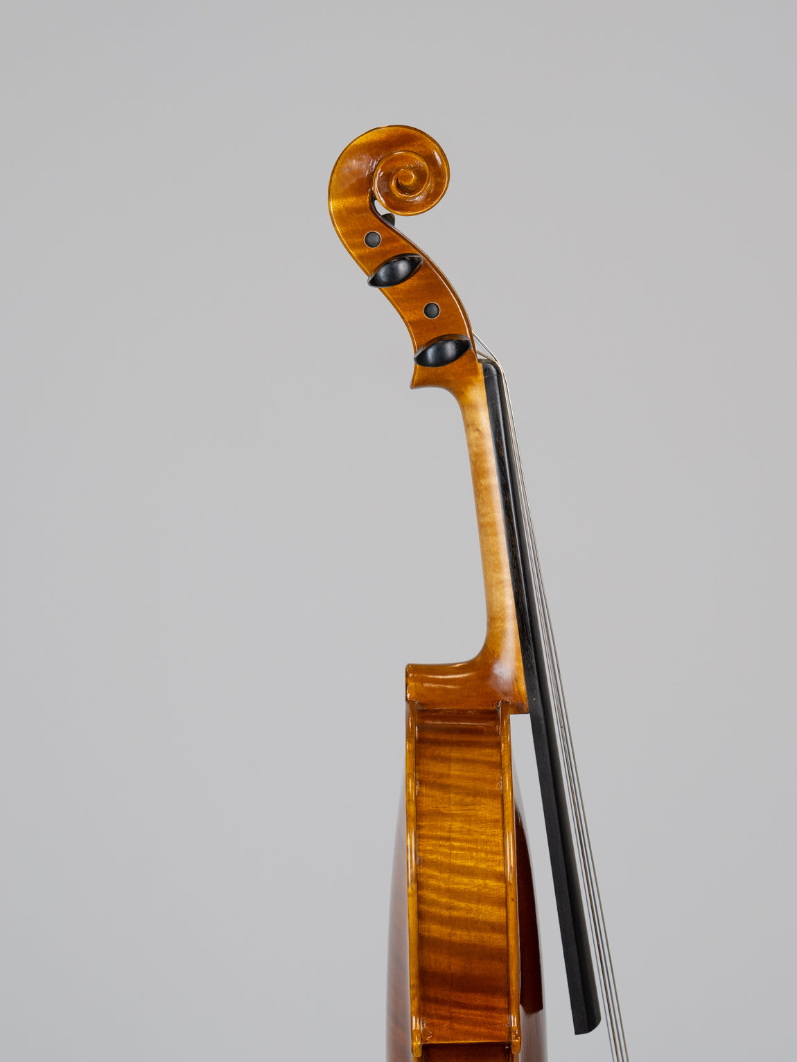 IUE Strings Studio Series 15 " Viola Outfit