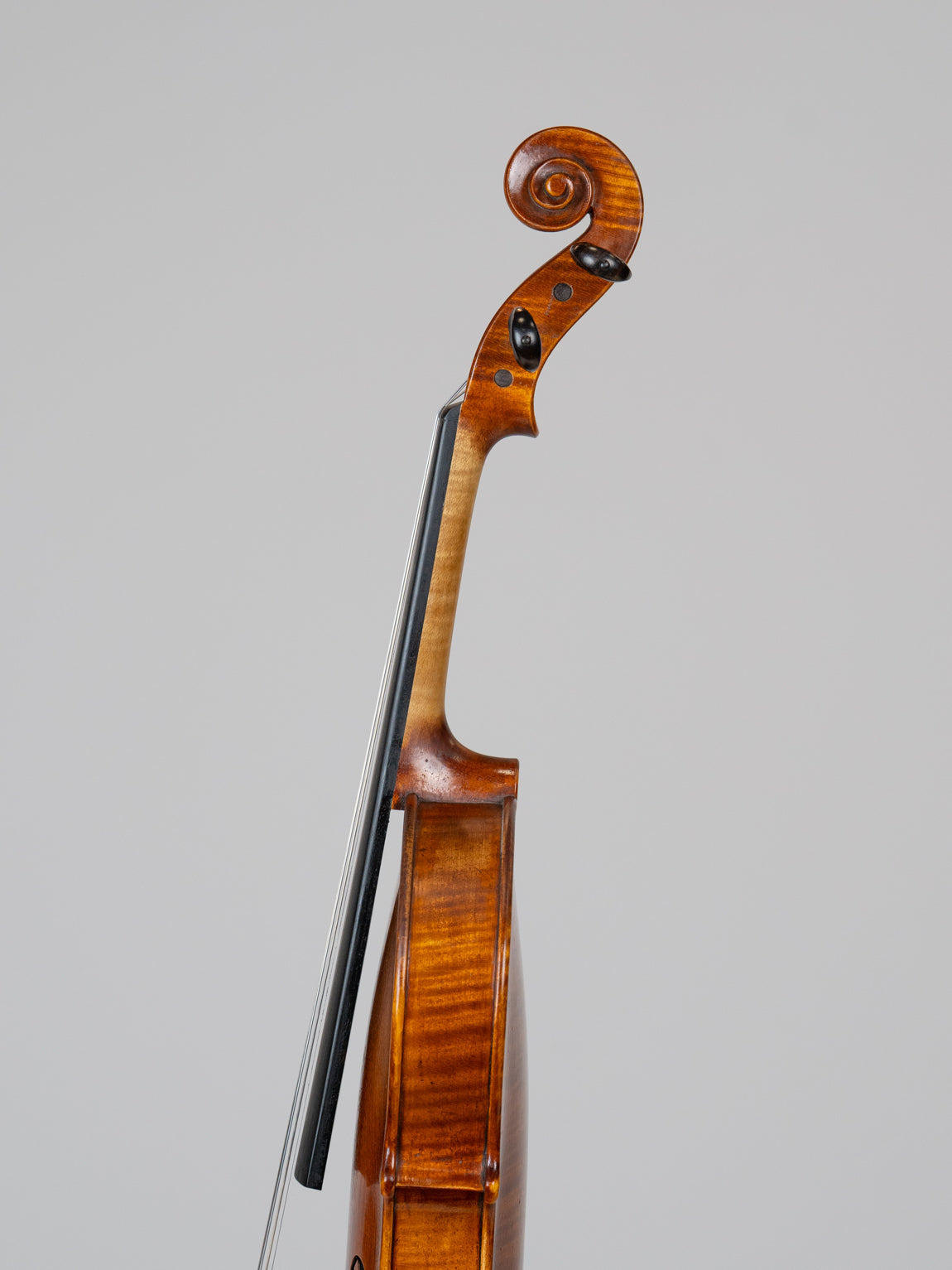 Volkmar Holz 2010 Nice.  IUEStrings Luthier Series (VN04)