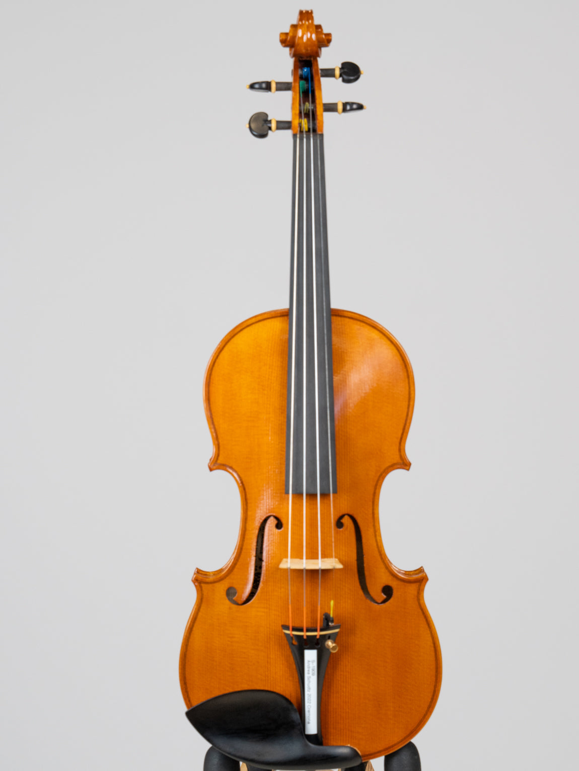Andrea Schudtz 2022 Cremona.  IUEStrings Luthier Series (VN09)
