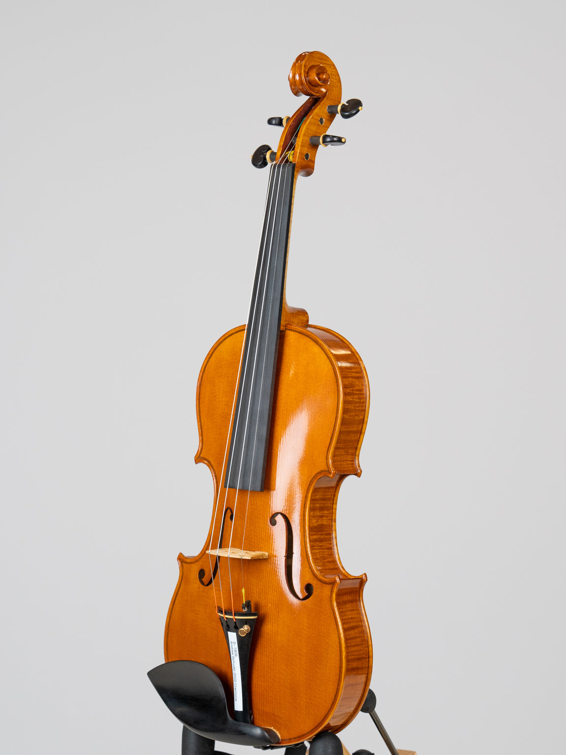 Andrea Schudtz 2022 Cremona.  IUEStrings Luthier Series (VN09)