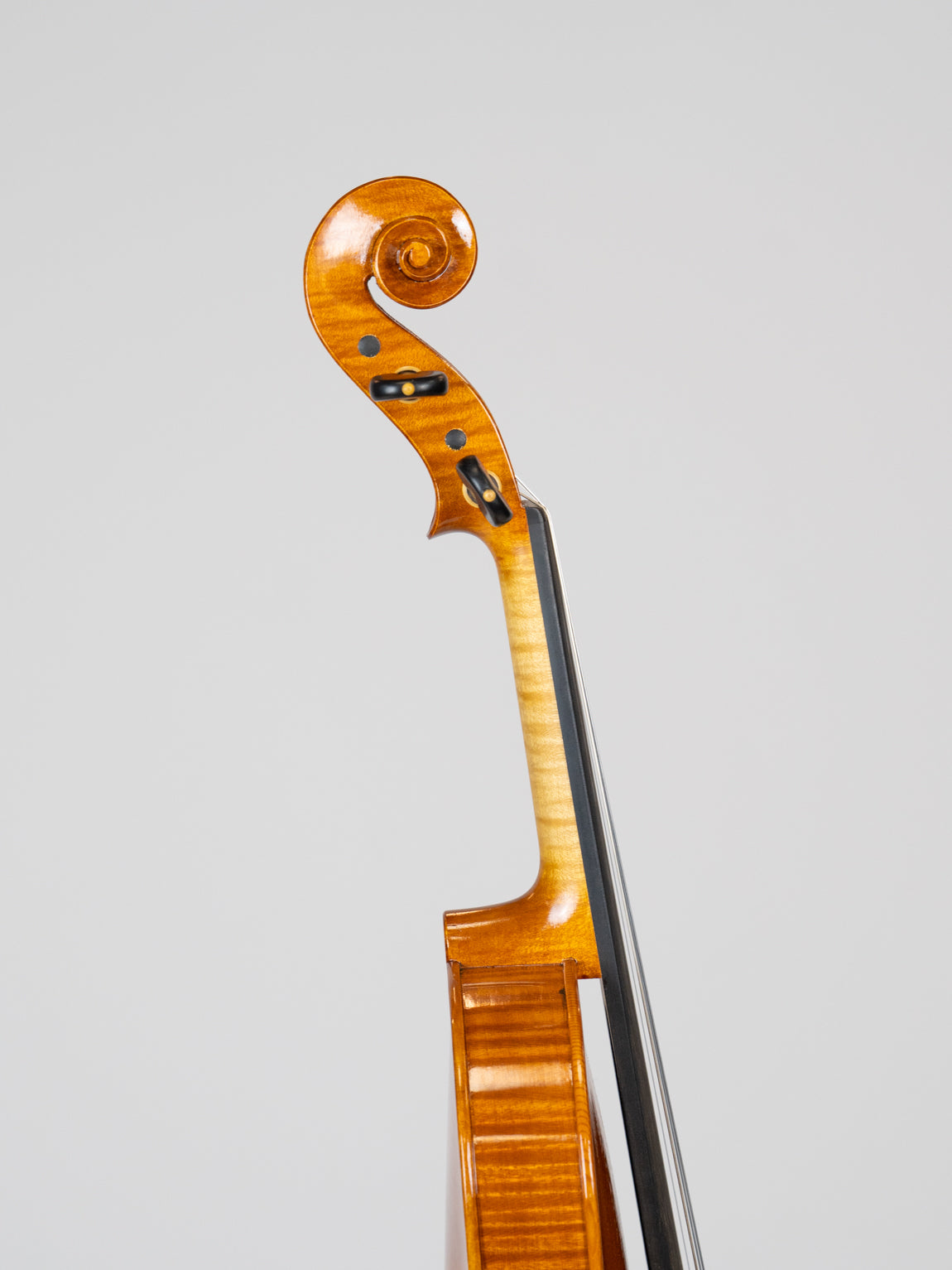 Andrea Schudtz 2022 Cremona.  IUEStrings Luthier Series (VN09)