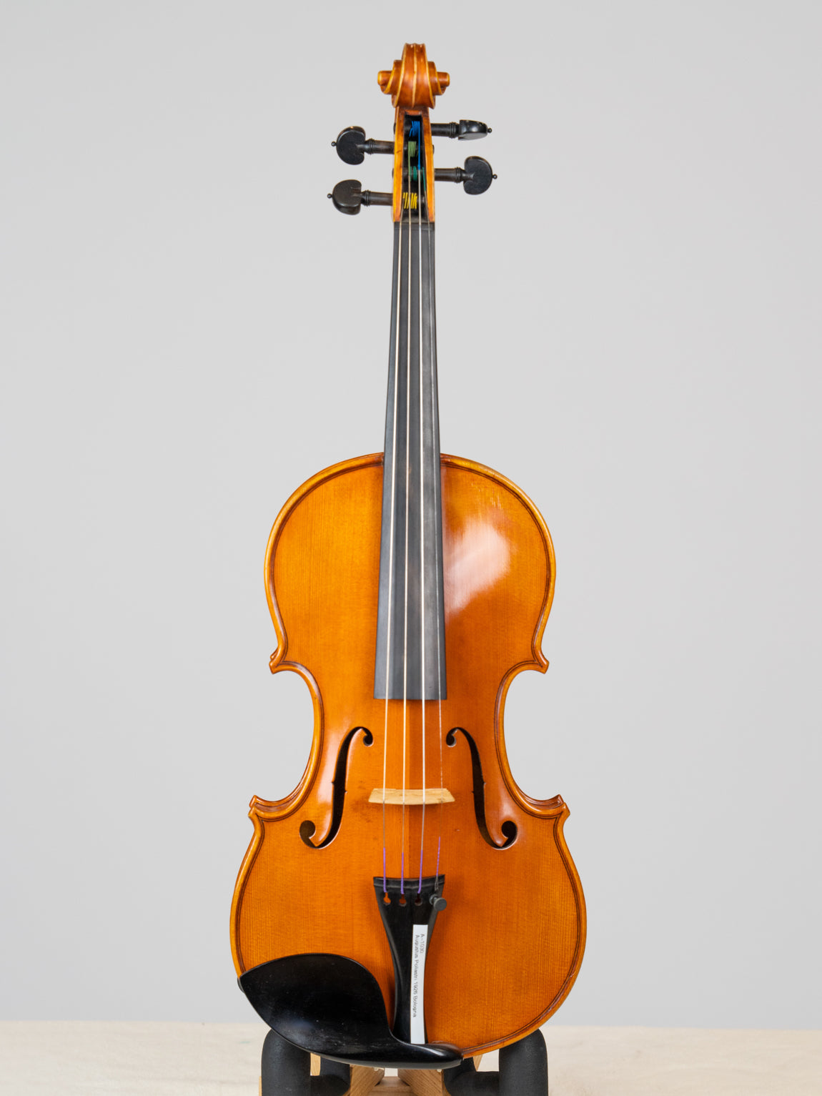 Augustus Pollastri 1926 Bologna. 爱六艺名家提琴大师系列小提琴