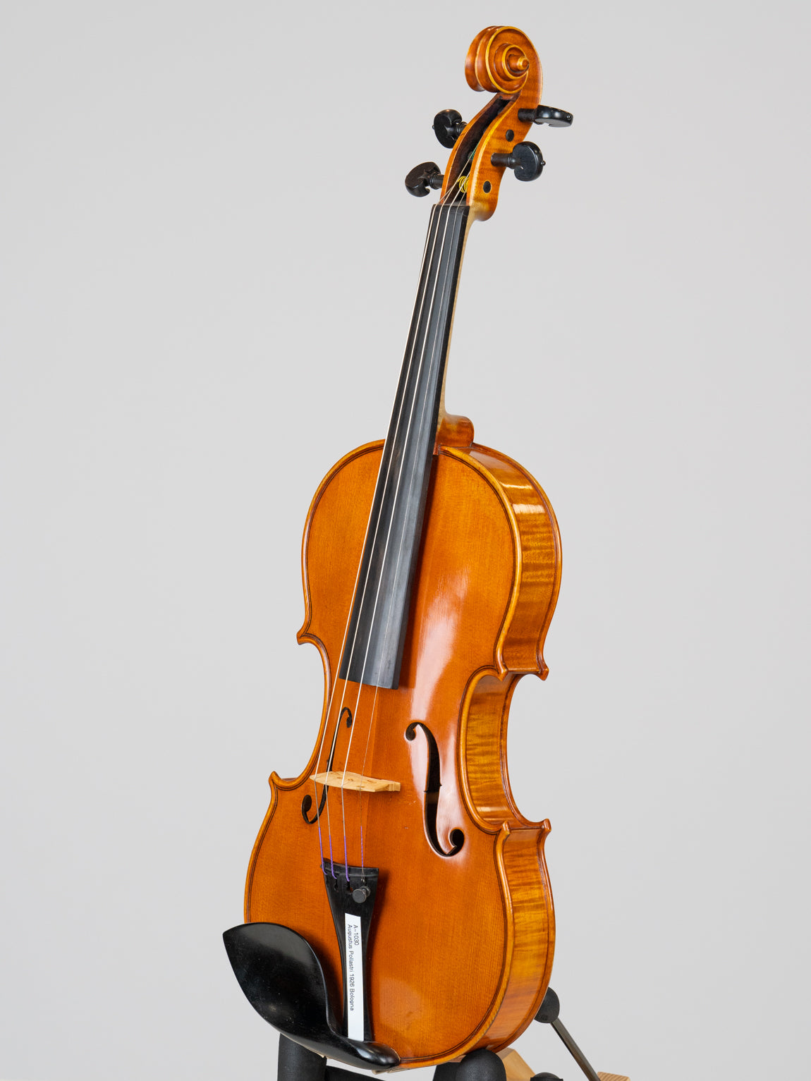 Augustus Pollastri 1926 Bologna.   IUEStrings Luthier Series(VN12)