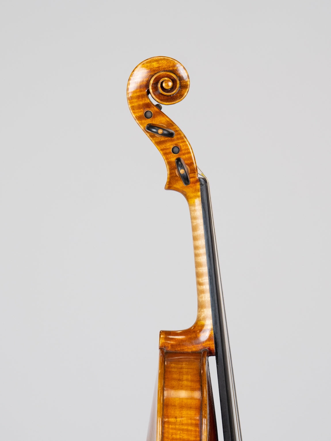 Carloelli Lasel 1949 Venezia.   IUEStrings Luthier Series(VN13)