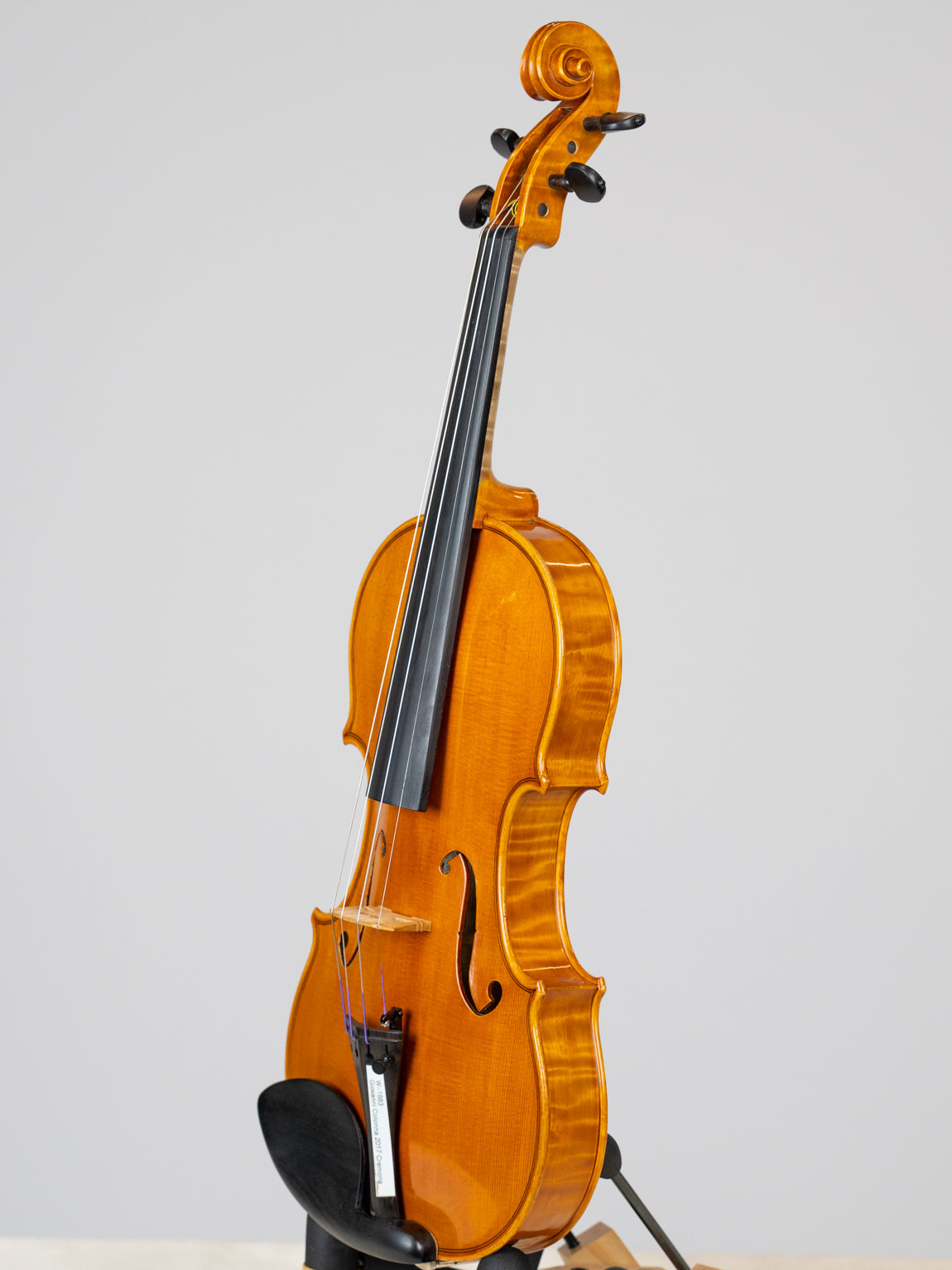 Giovanni Colonna 2017 Cremona.  IUEStrings Luthier Series(VN14)