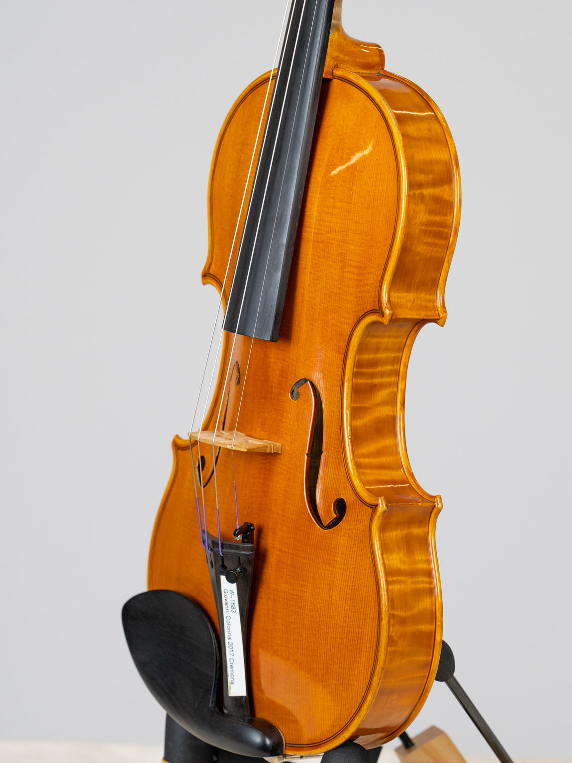 Giovanni Colonna 2017 Cremona.  IUEStrings Luthier Series(VN14)