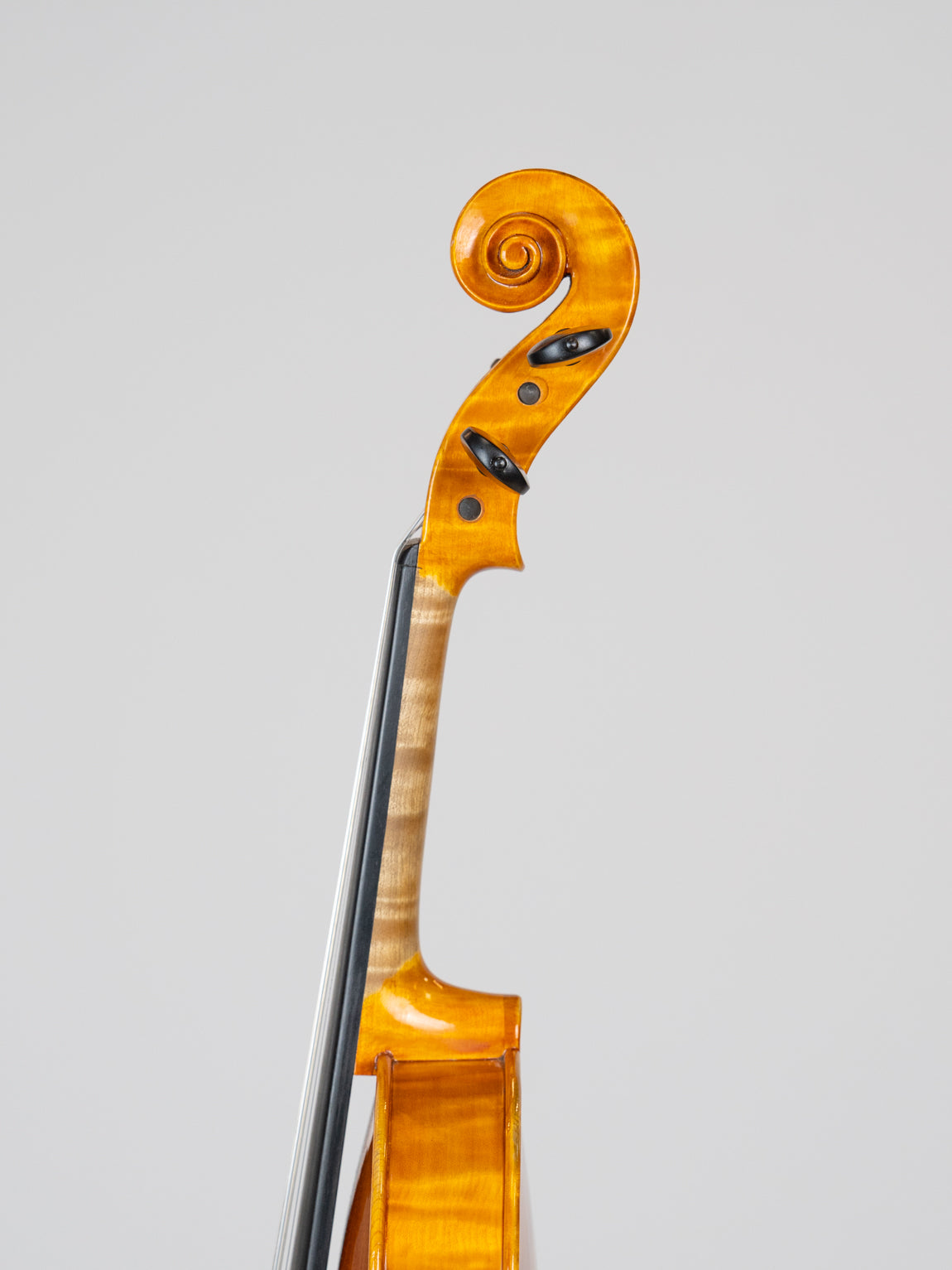 Giovanni Colonna 2017 Cremona.  IUEStrings Luthier Series(VN14)