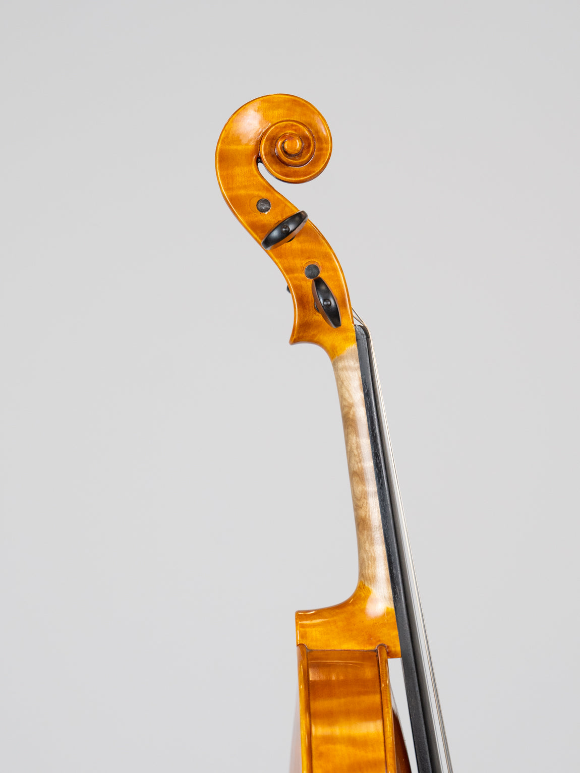 Giovanni Colonna 2017 Cremona.  IUEStrings Luthier Series(VN14)