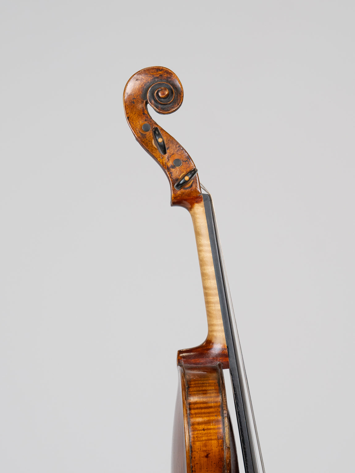 Johann Gottlob Pfretzchner 1799 Germany  IUEStrings (VN15)