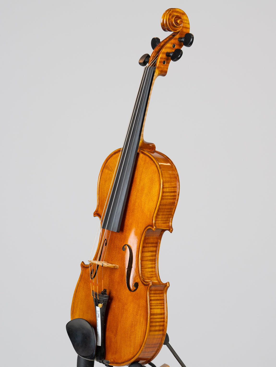 Gotz-Ornati model 2016 Germany.  IUEStrings Luthier Series(VN16)