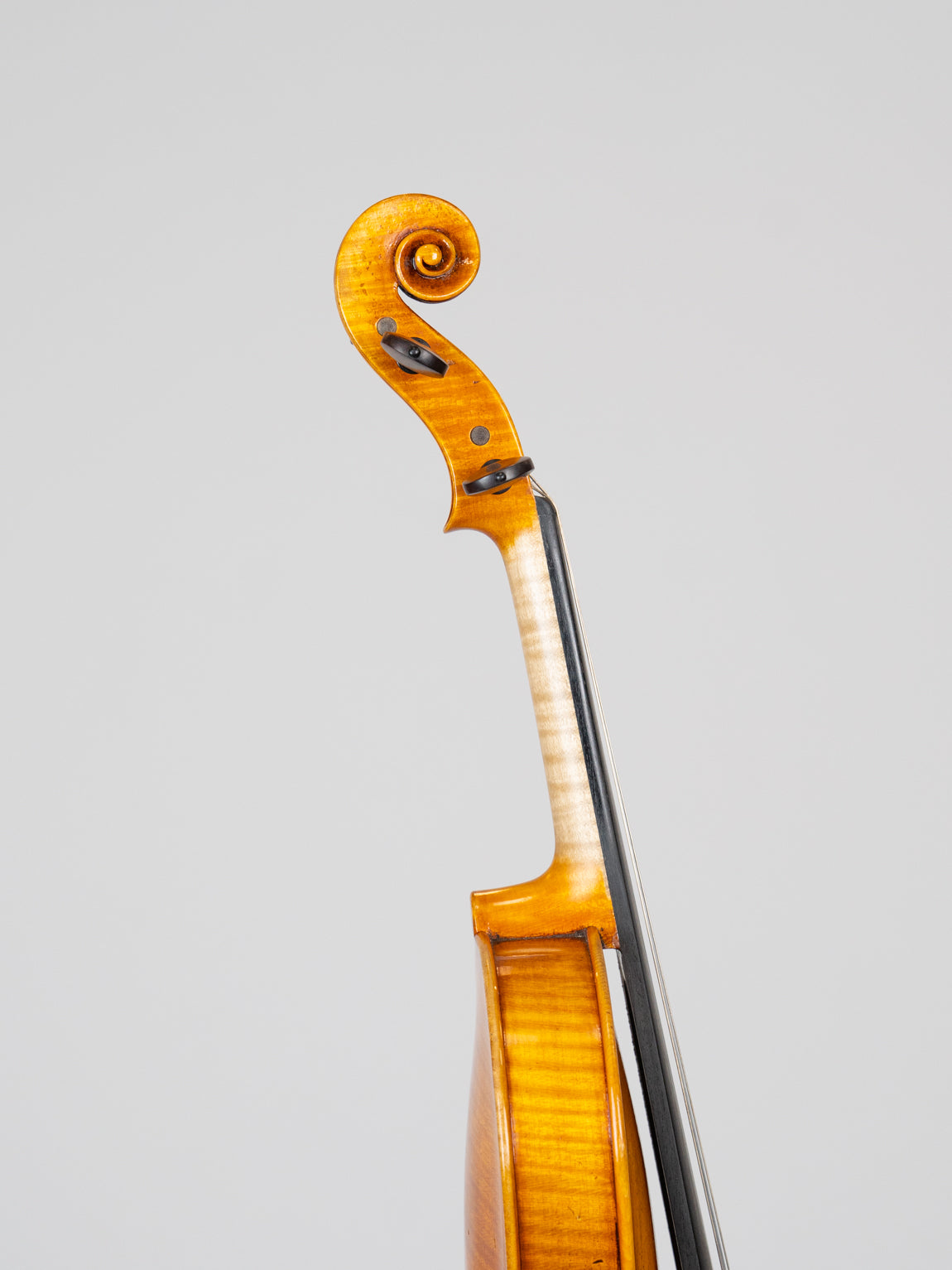 Adam Tang Joseph&Antonius Gagliano 1795-3814. IUEStrings (VN17)