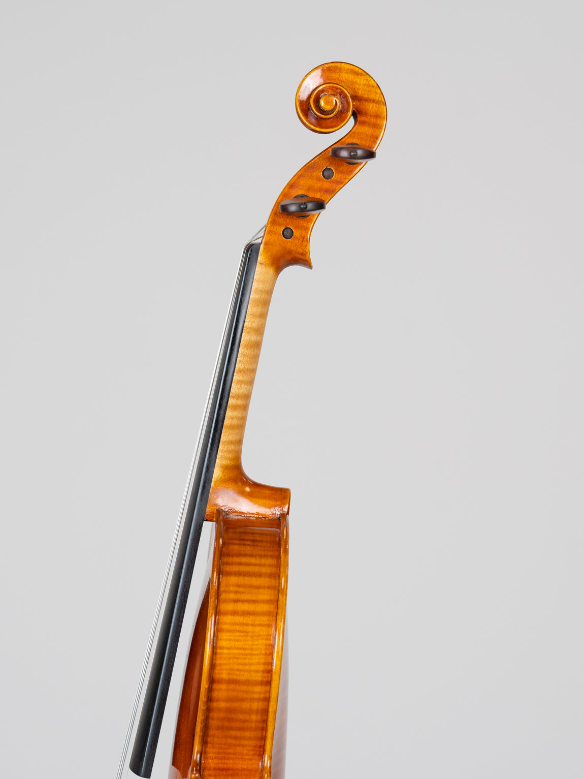 Jango Lee Joannes Franciscus Pressenda 1829-3815(VN19)