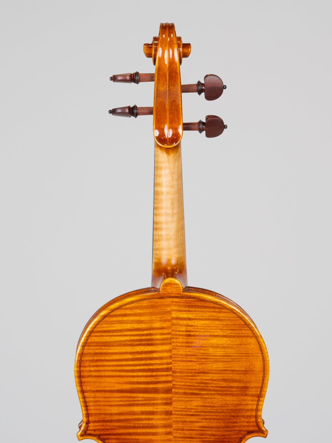 Jango Lee Joannes Franciscus Pressenda 1829-3815(VN19)