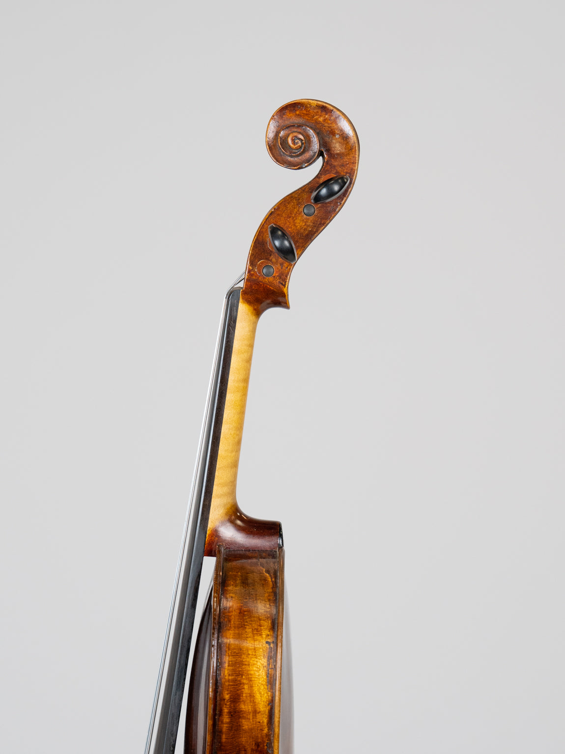 Rich Kruttner 1899 Pilson   IUEStrings Luthier Series (VN21)