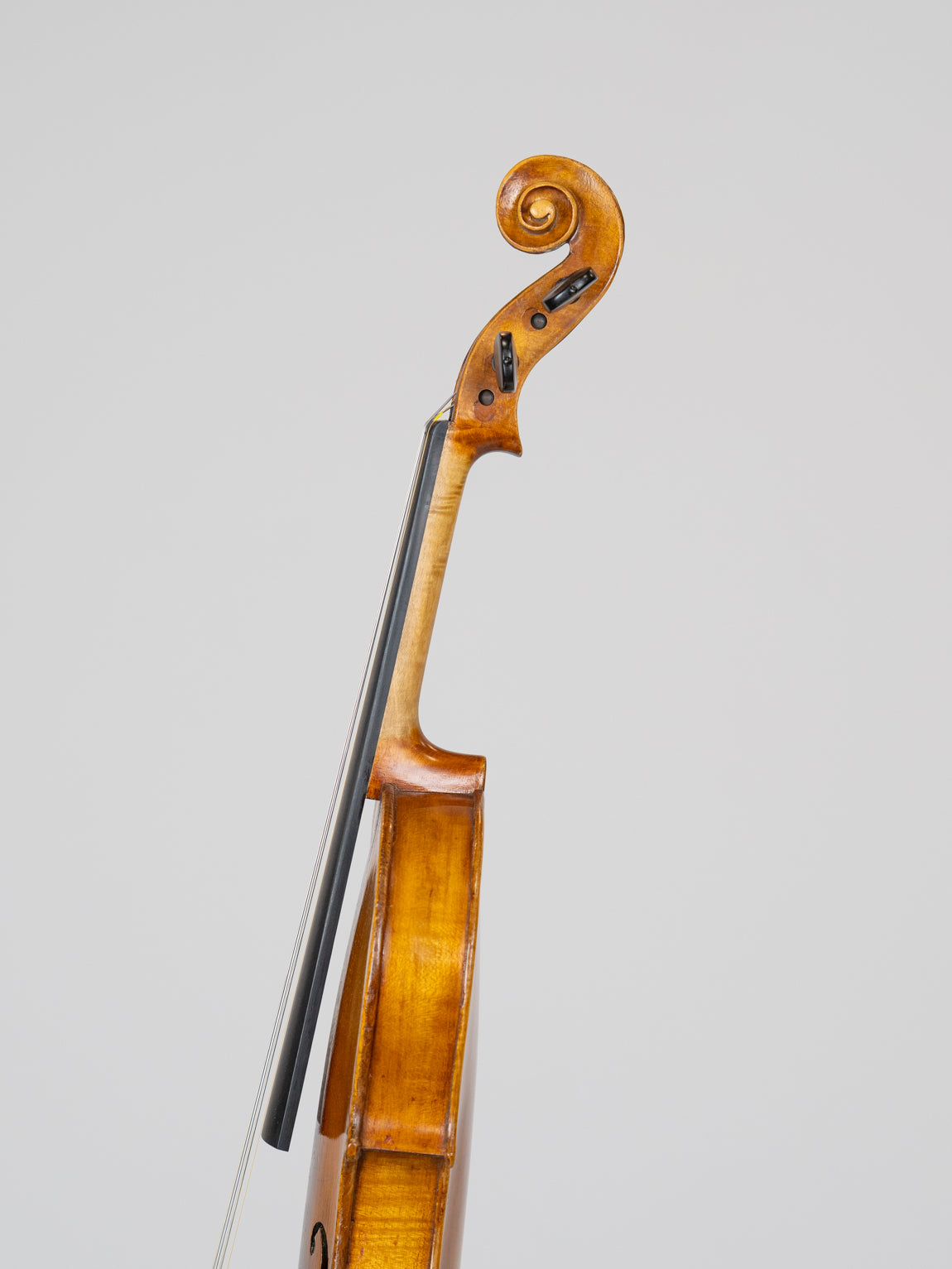 Giuseppe Periz 1926 Trieste.  IUEStrings Luthier Series(VN22)