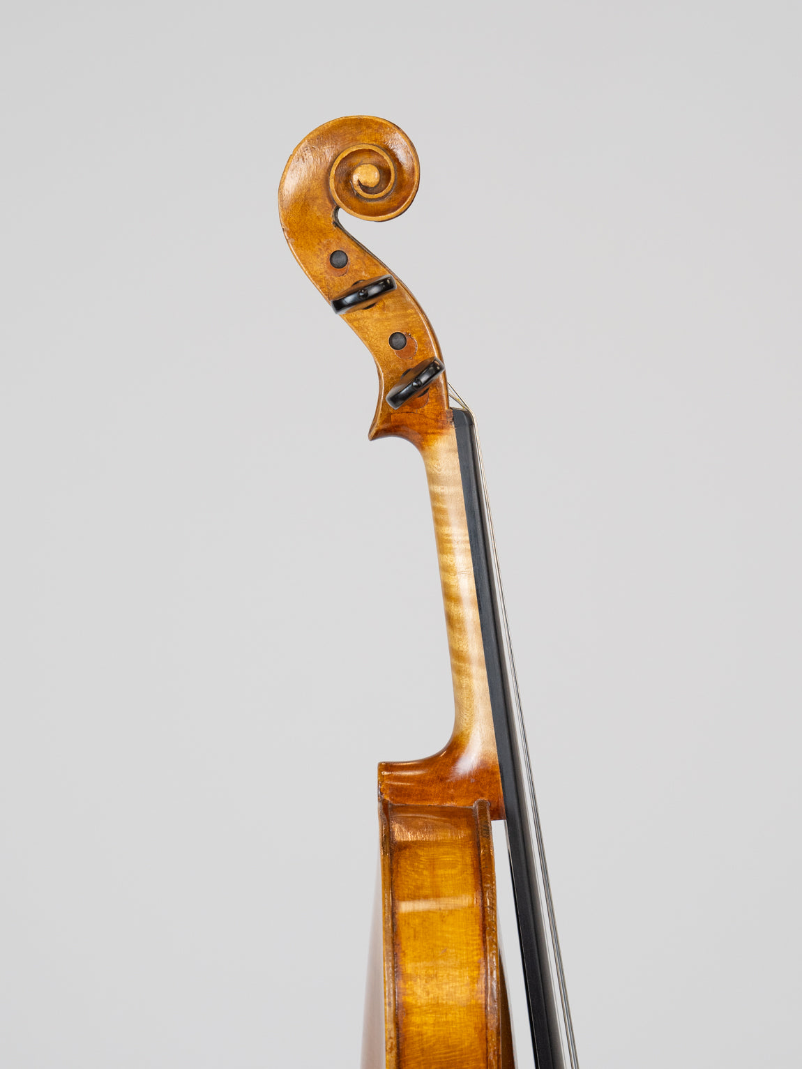 Giuseppe Periz 1926 Trieste.  IUEStrings Luthier Series(VN22)