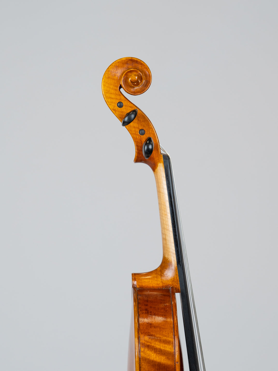 IUE Strings Studio Series 14" Viola Outfit